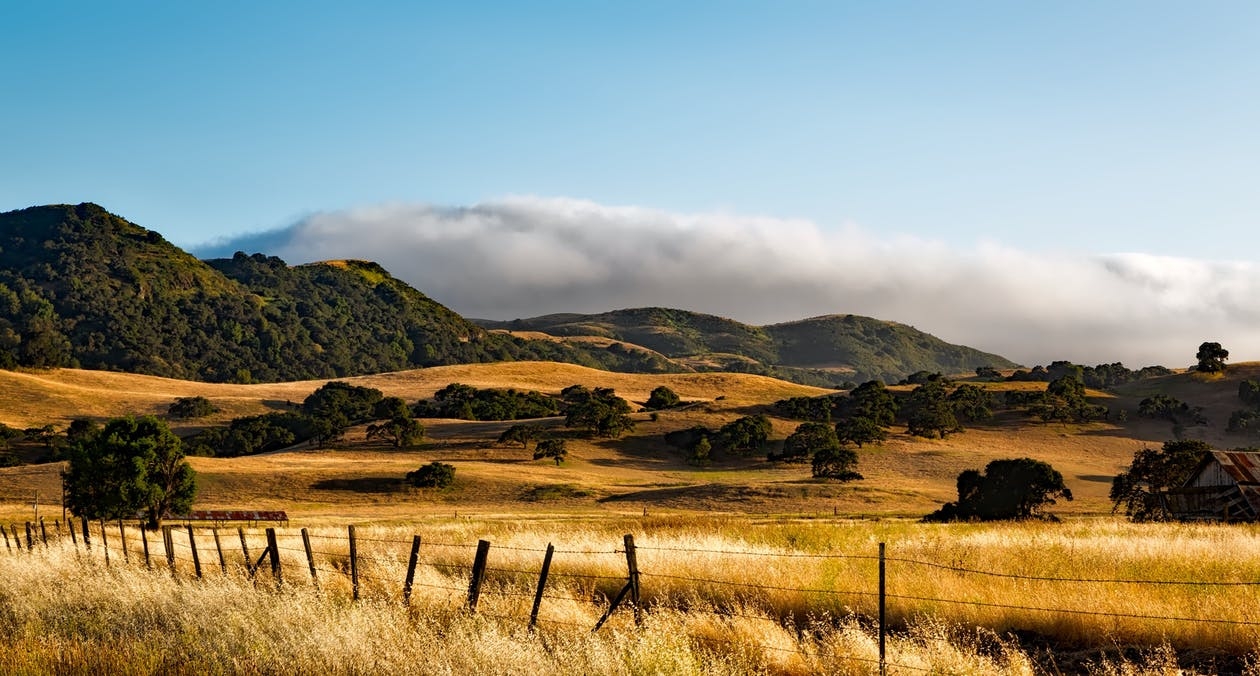 https://www.pexels.com/photo/brown-field-with-trees-over-mountain-158220/
