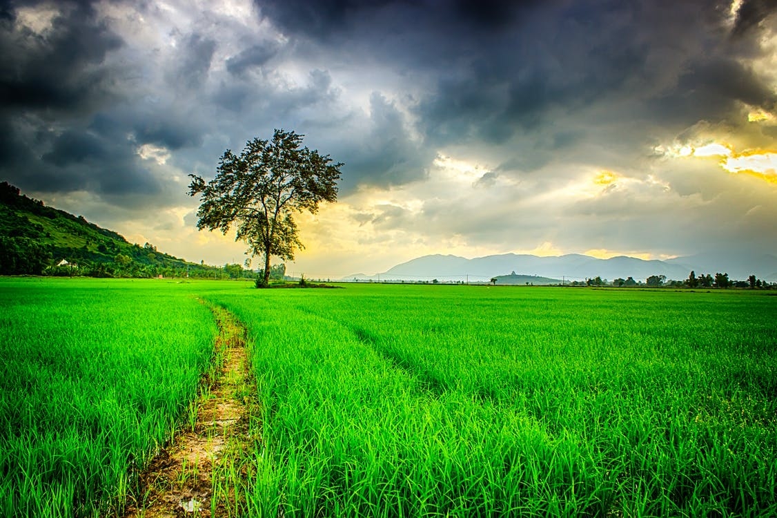 https://www.pexels.com/photo/clouds-cloudy-countryside-farm-236047/