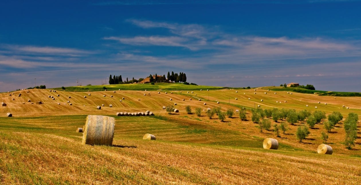 https://www.pexels.com/photo/agriculture-bale-countryside-crop-575576/