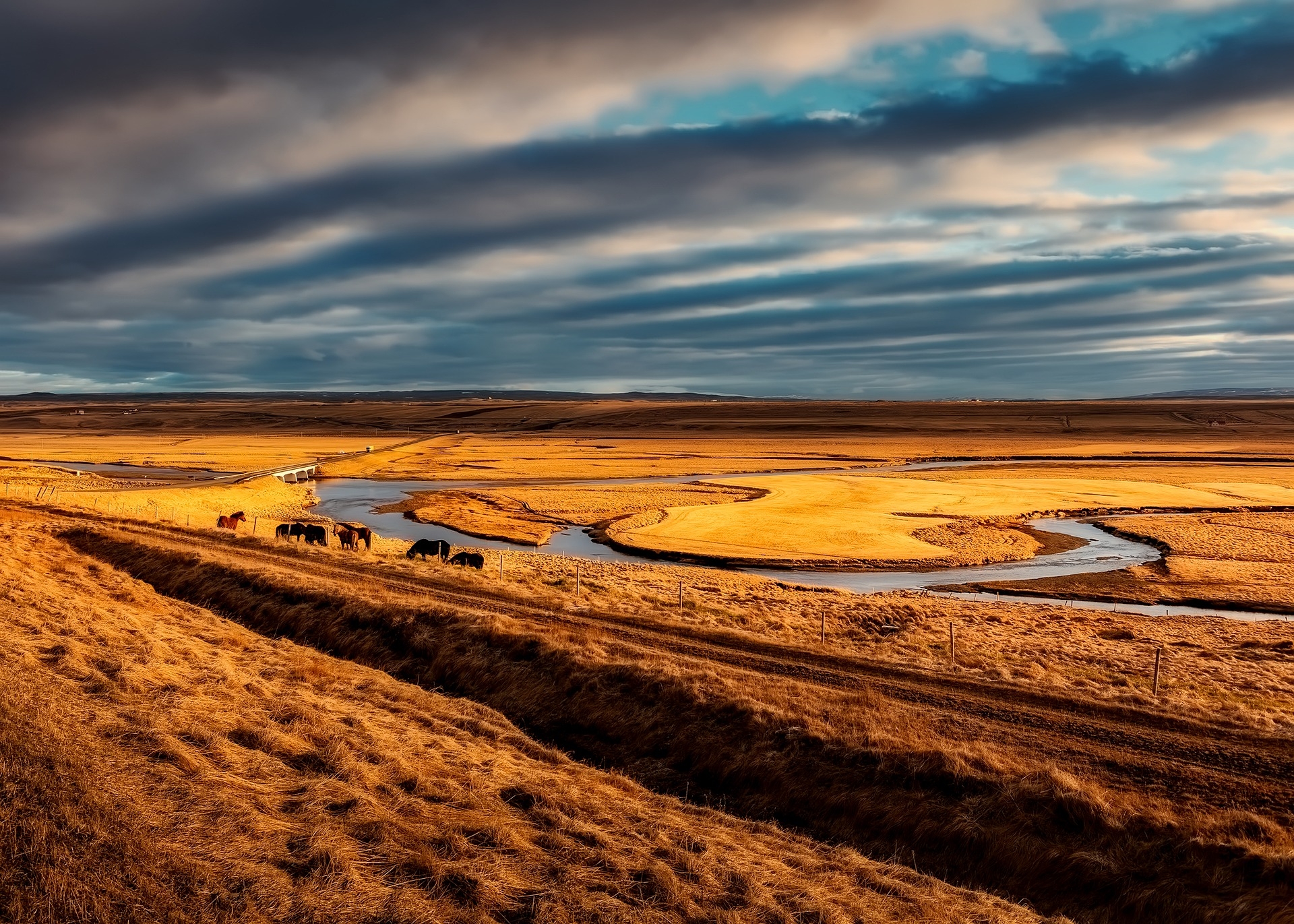 izland-lovak-fekvő-sky-clouds