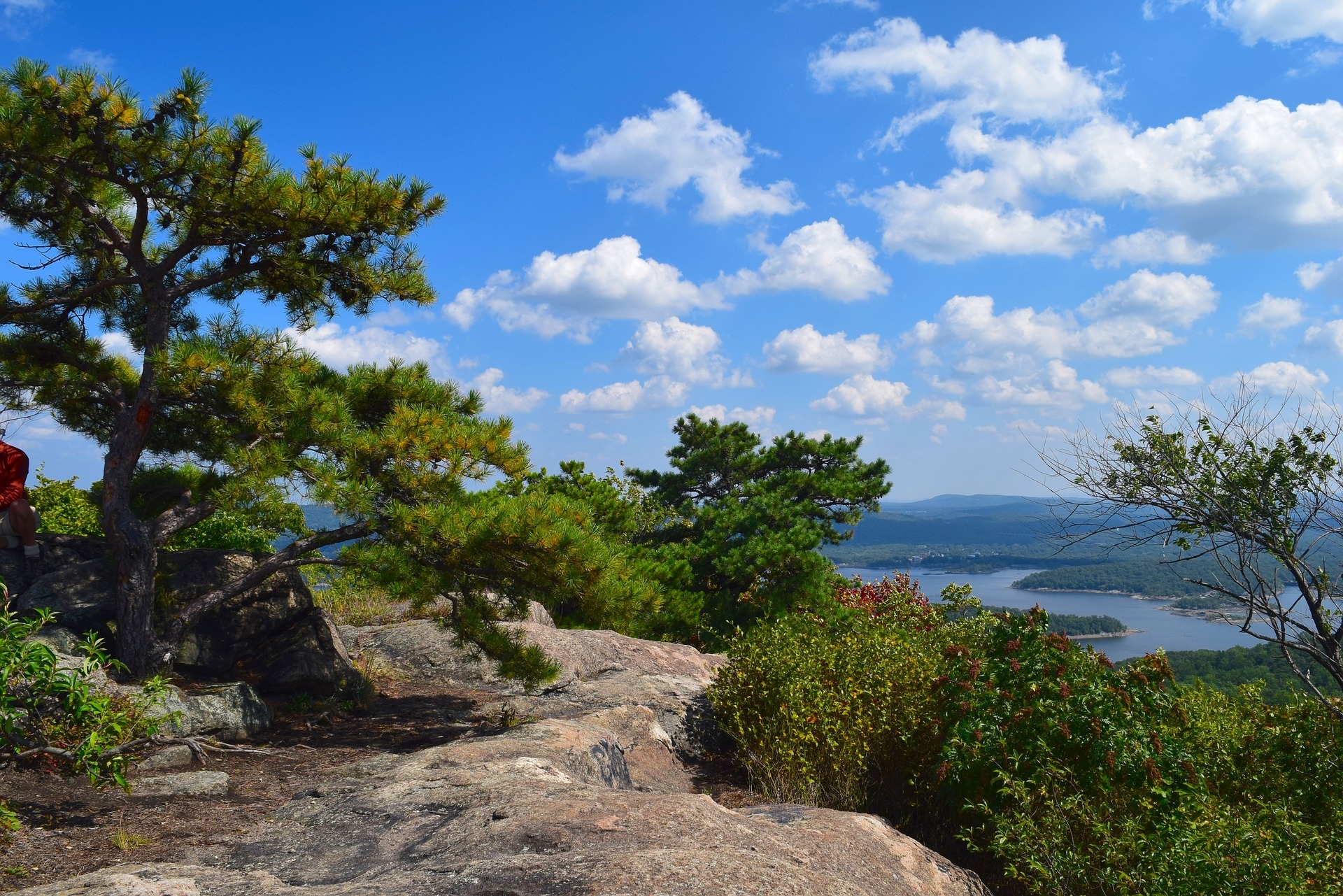 mountain-view-lake-trees-forest