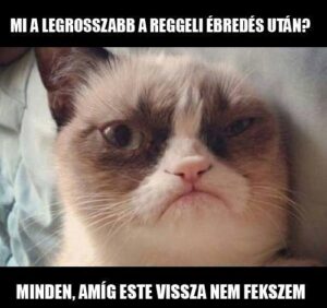 Minden