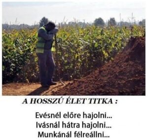 Az élet
