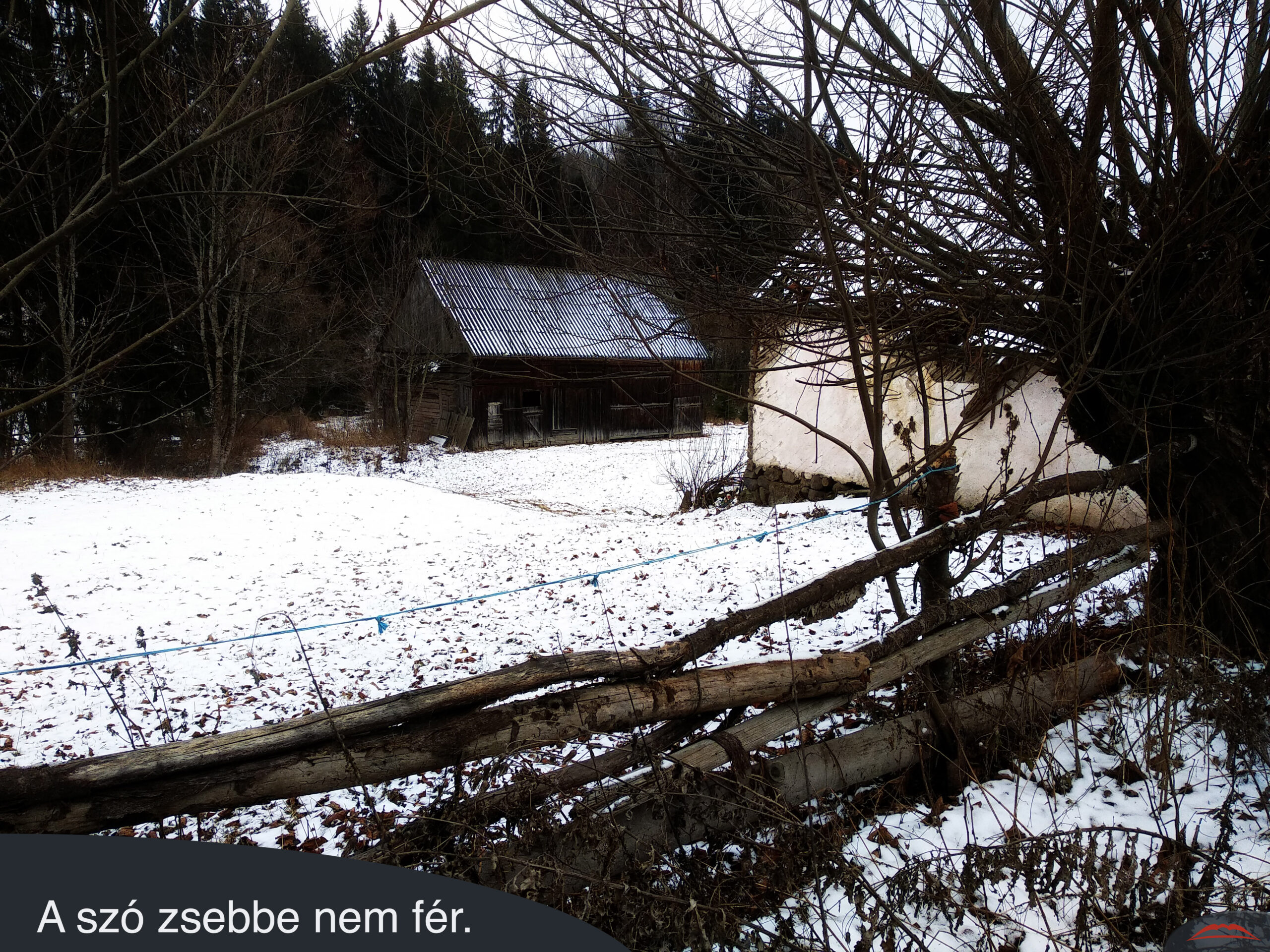 A szó zsebbe nem fér.