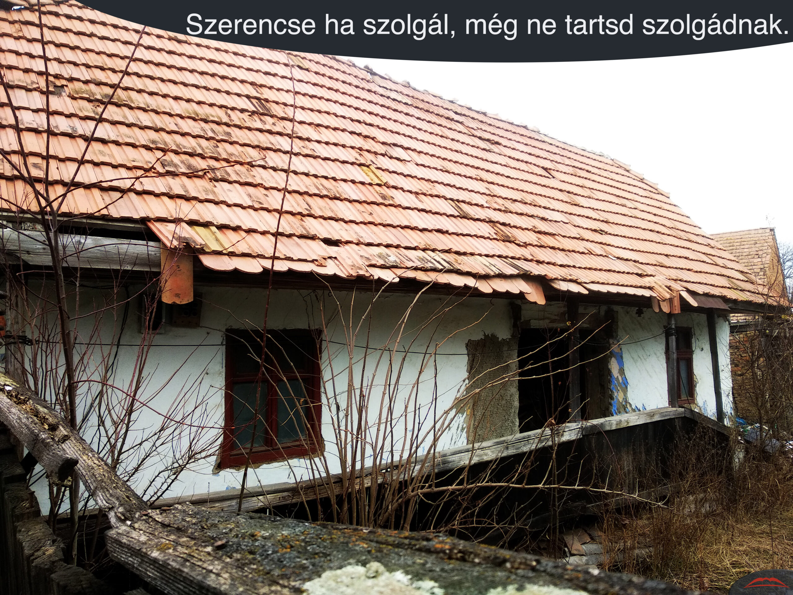 Szerencse ha szolgál, még ne tartsd szolgádnak.