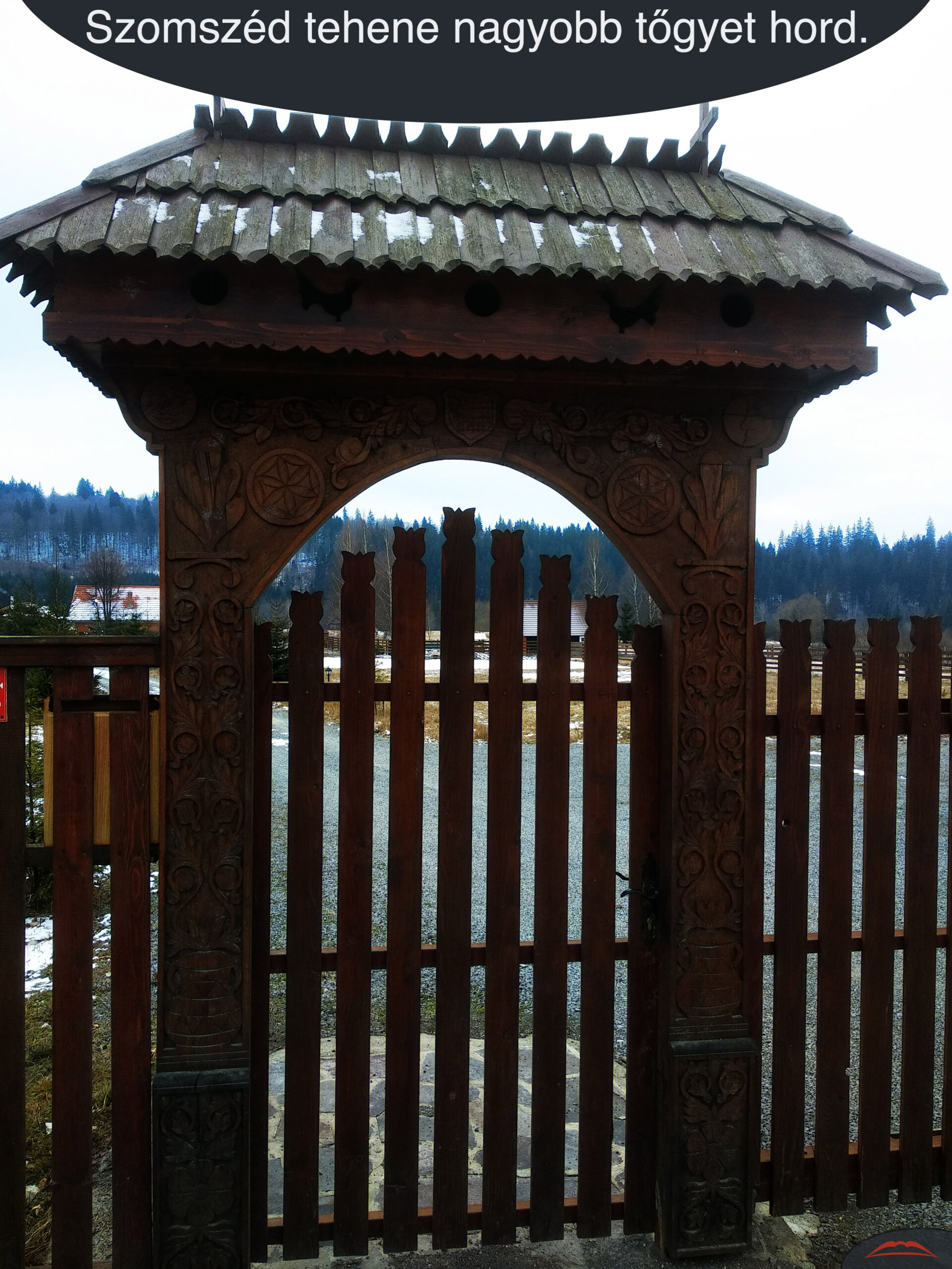 Szomszéd tehene nagyobb tőgyet hord.