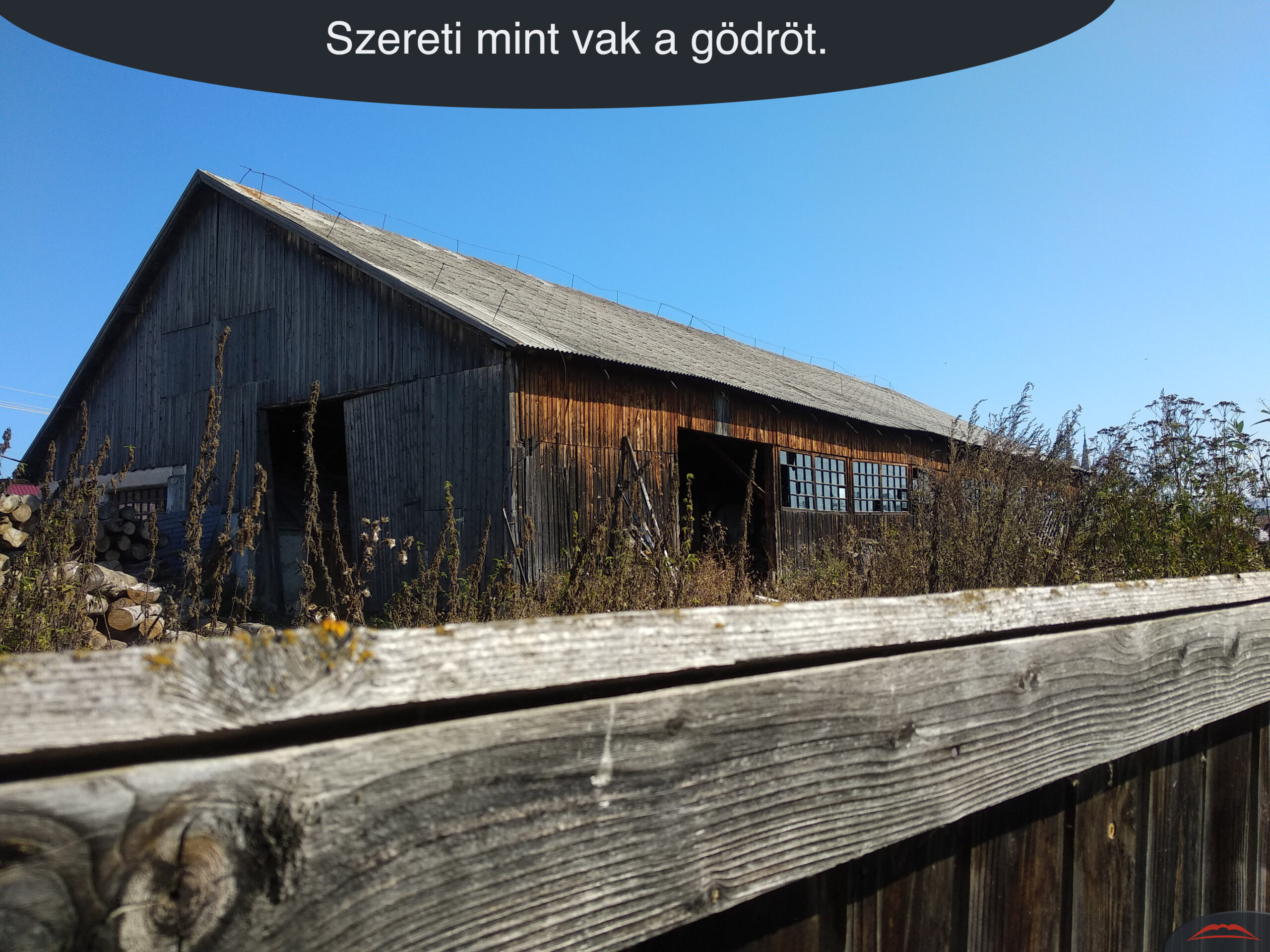 Szereti mint vak a gödröt.
