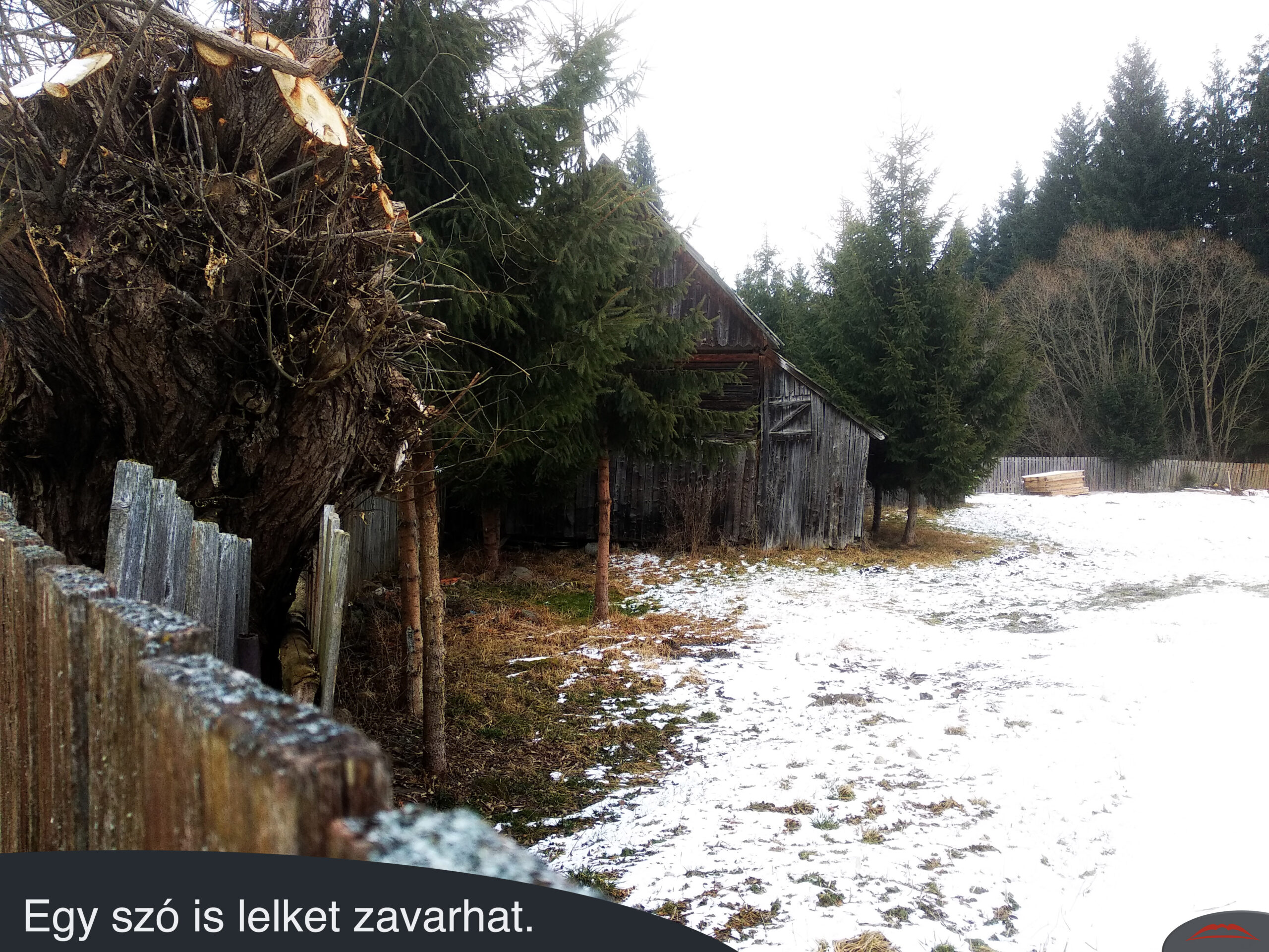 Egy szó is lelket zavarhat.