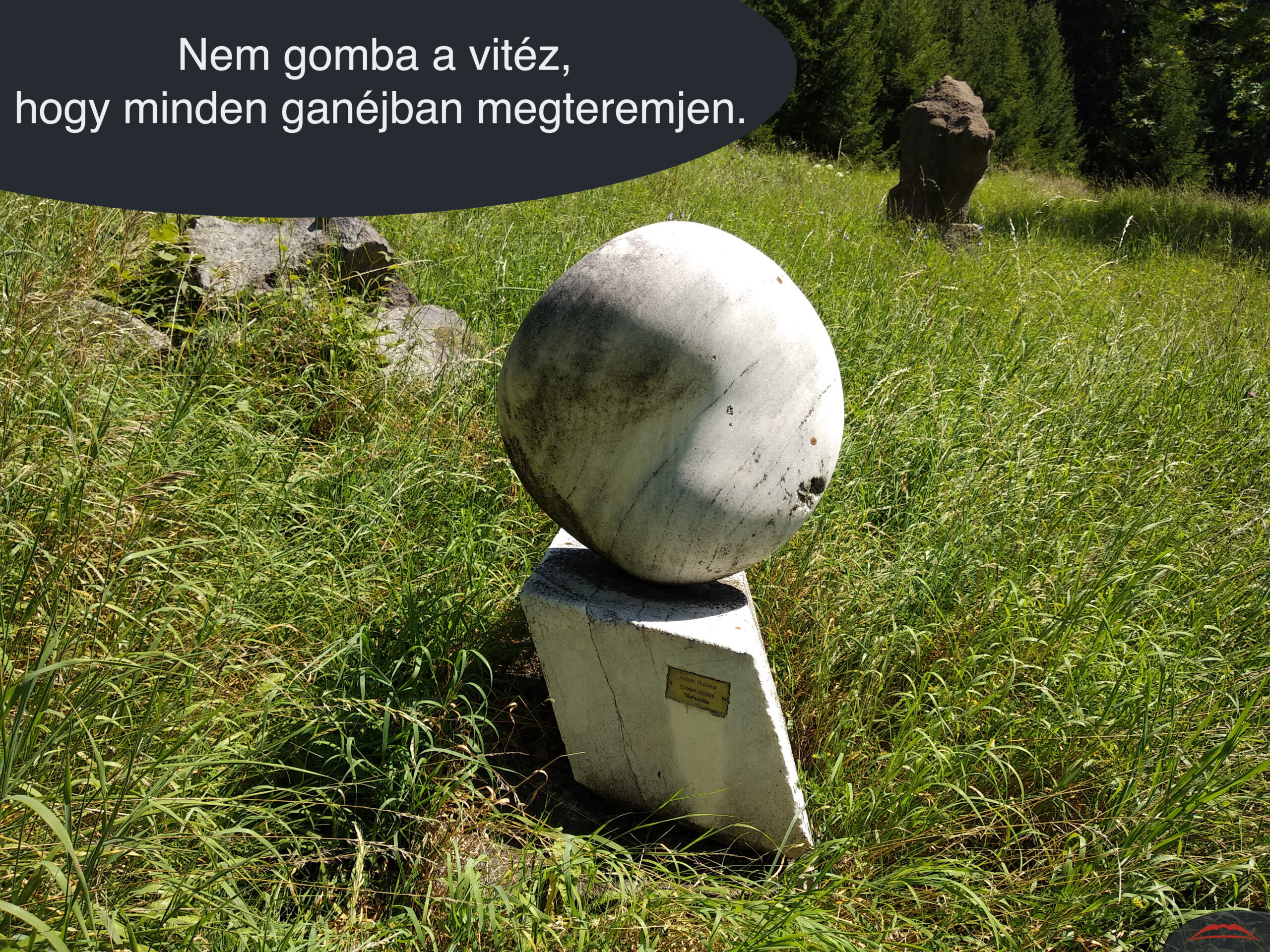 Nem gomba a vitéz, hogy minden ganéjban megteremjen.