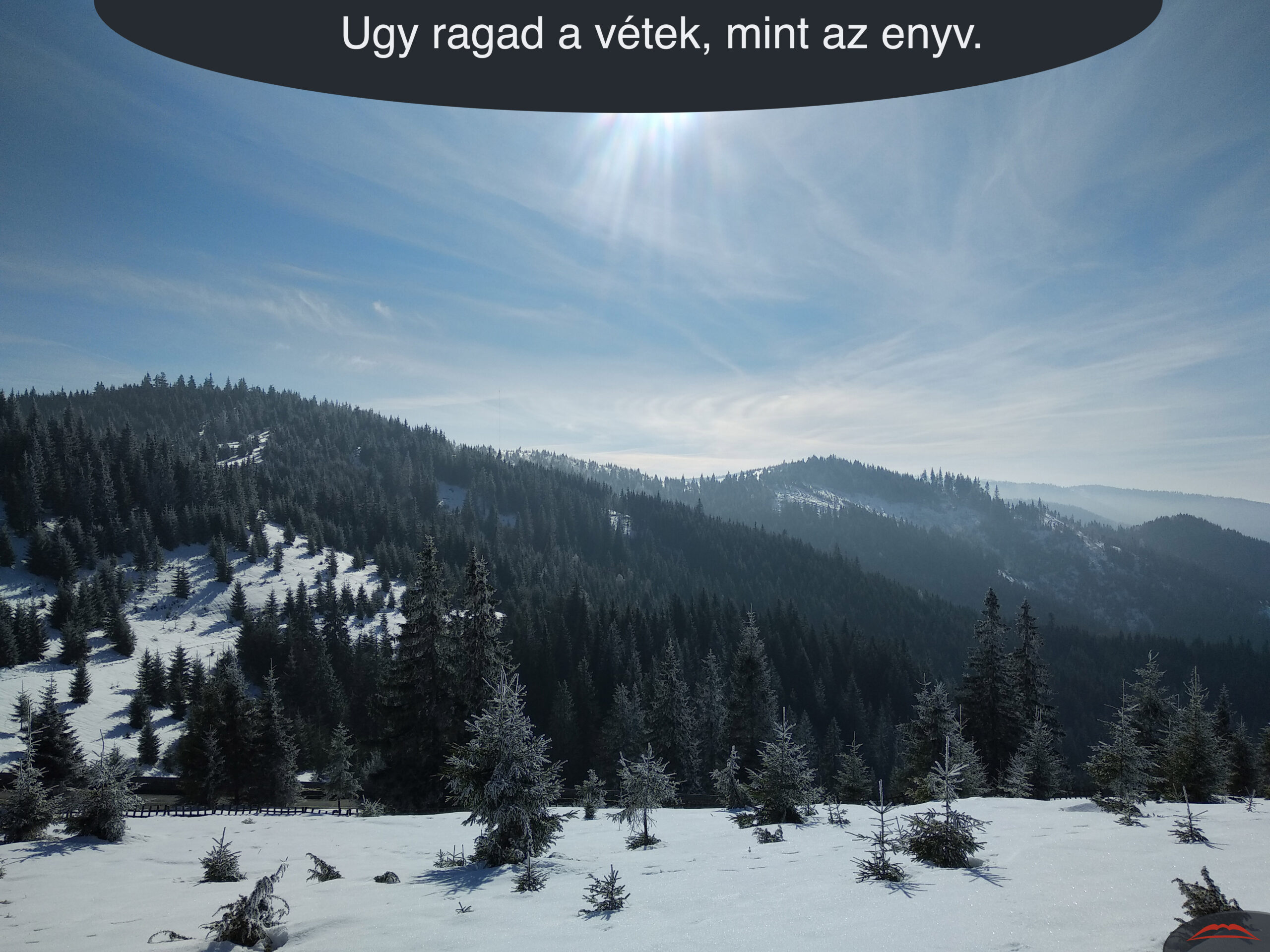 Ugy ragad a vétek, mint az enyv.