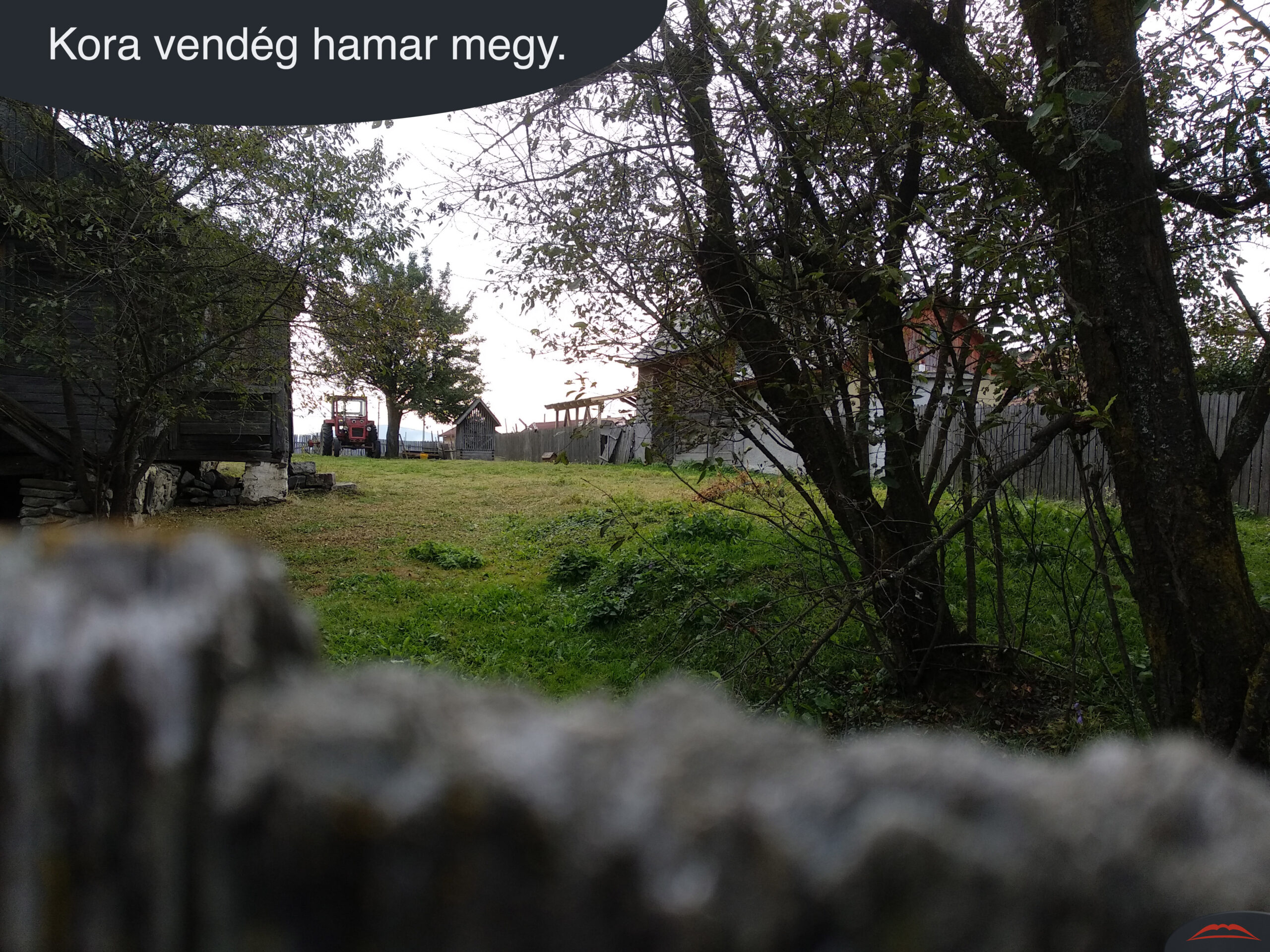 Kora vendég hamar megy.