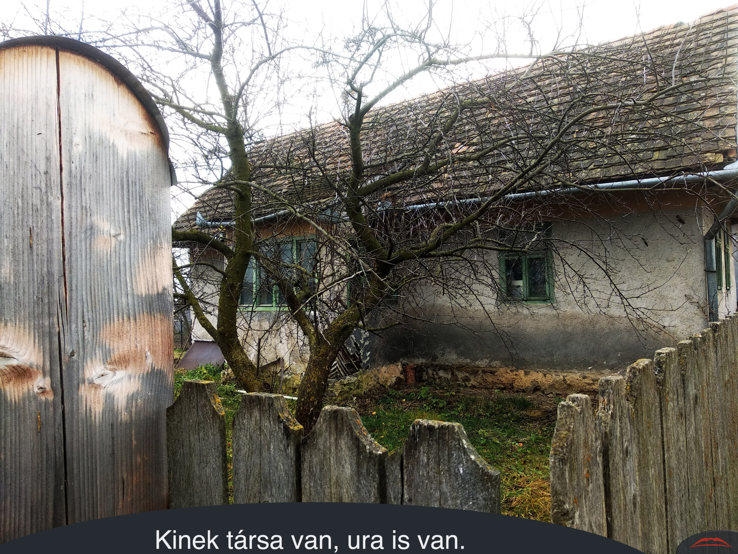 Kinek társa van, ura is van.