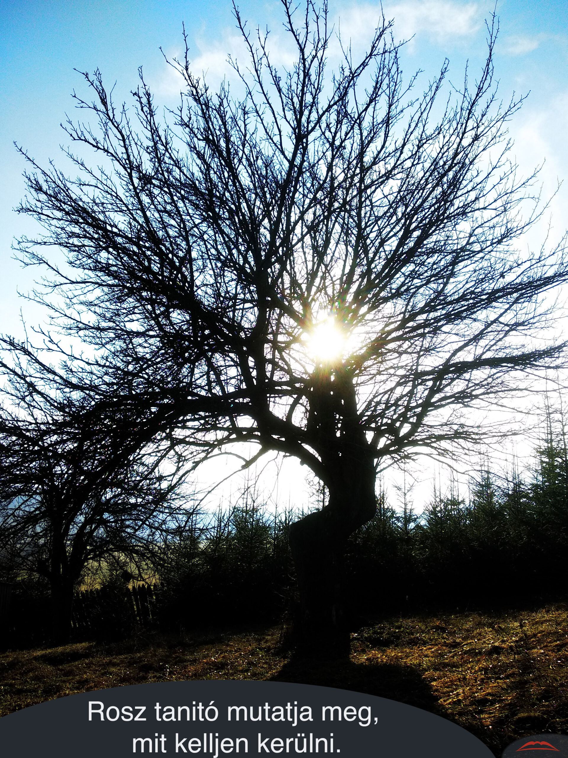 Rosz tanitó mutatja meg, mit kelljen kerülni.