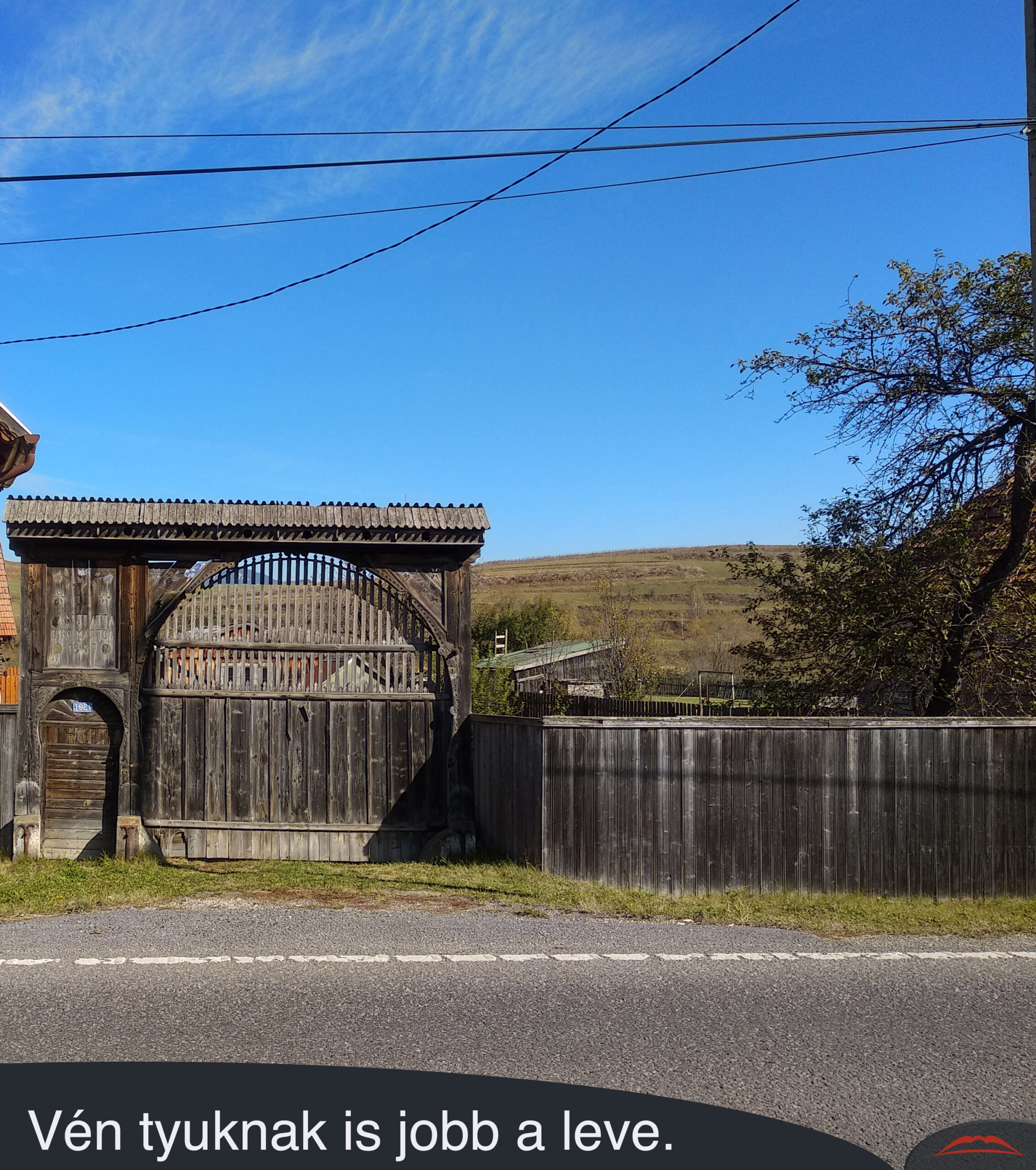 Vén tyuknak is jobb a leve.