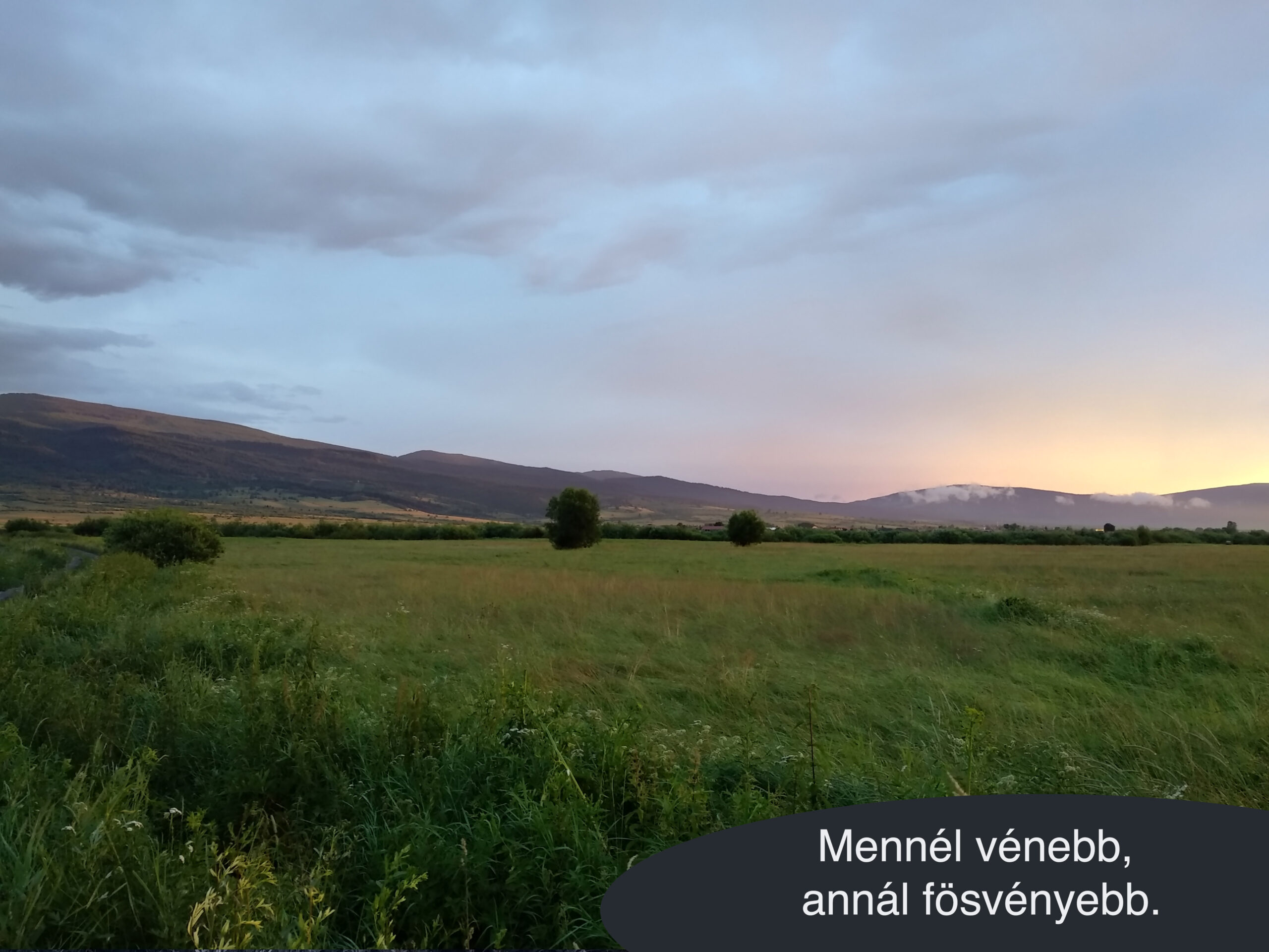 Mennél vénebb, annál fösvényebb.