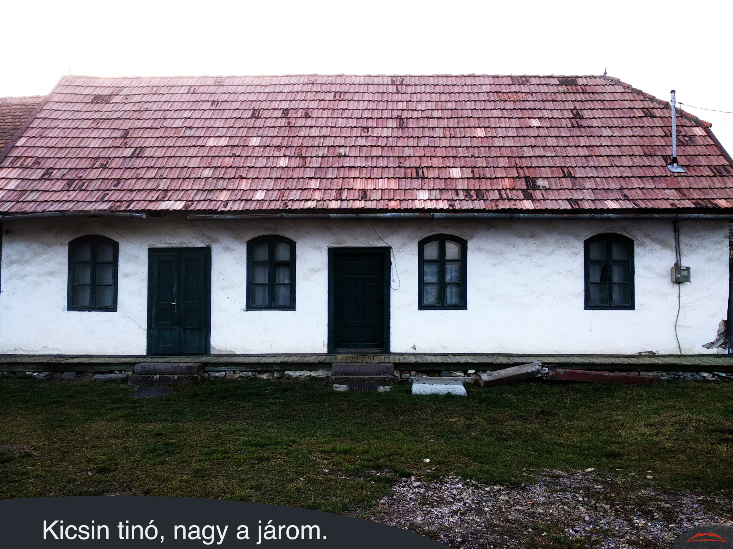 Kicsin tinó, nagy a járom.