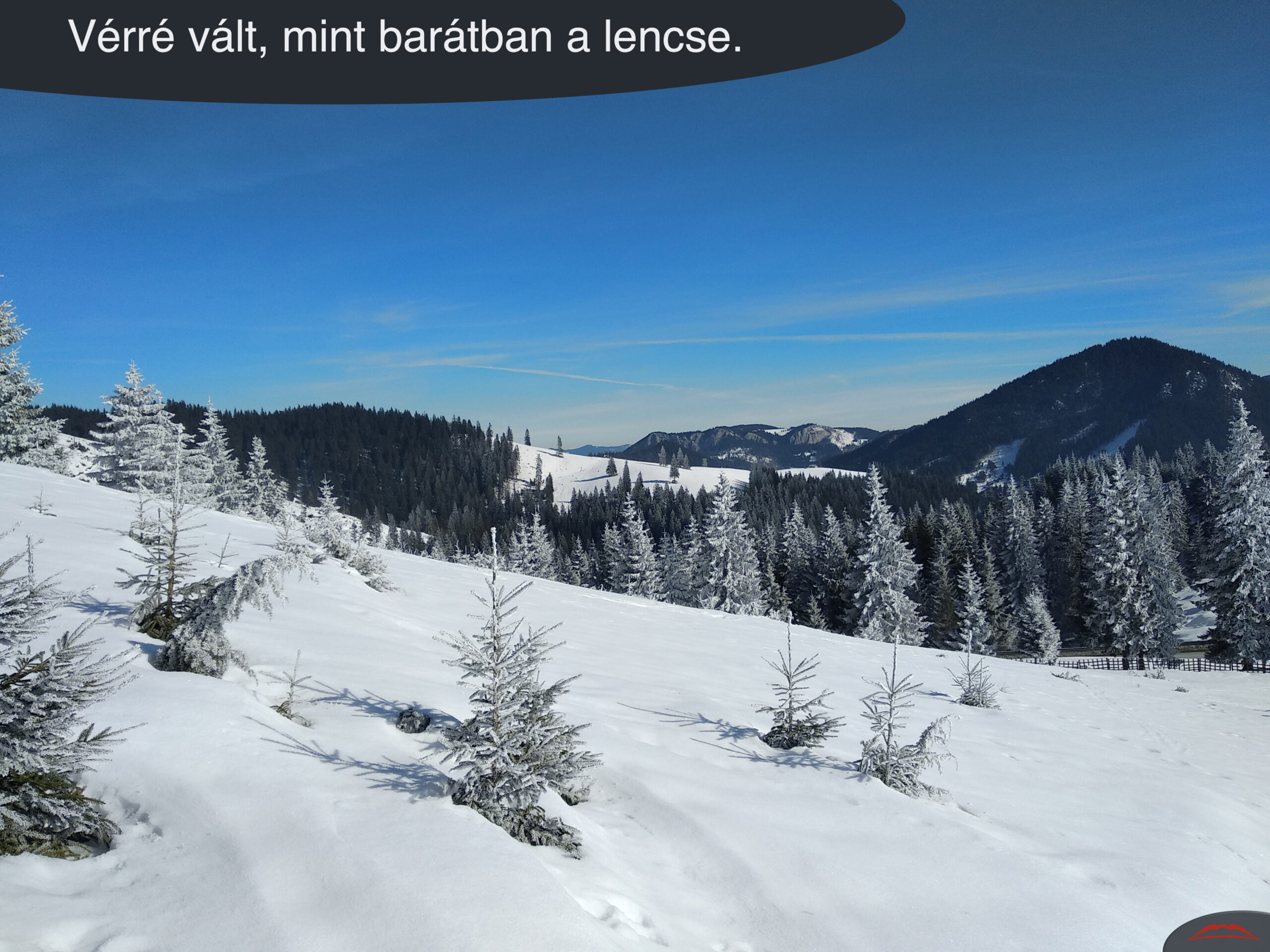 Vérré vált, mint barátban a lencse.