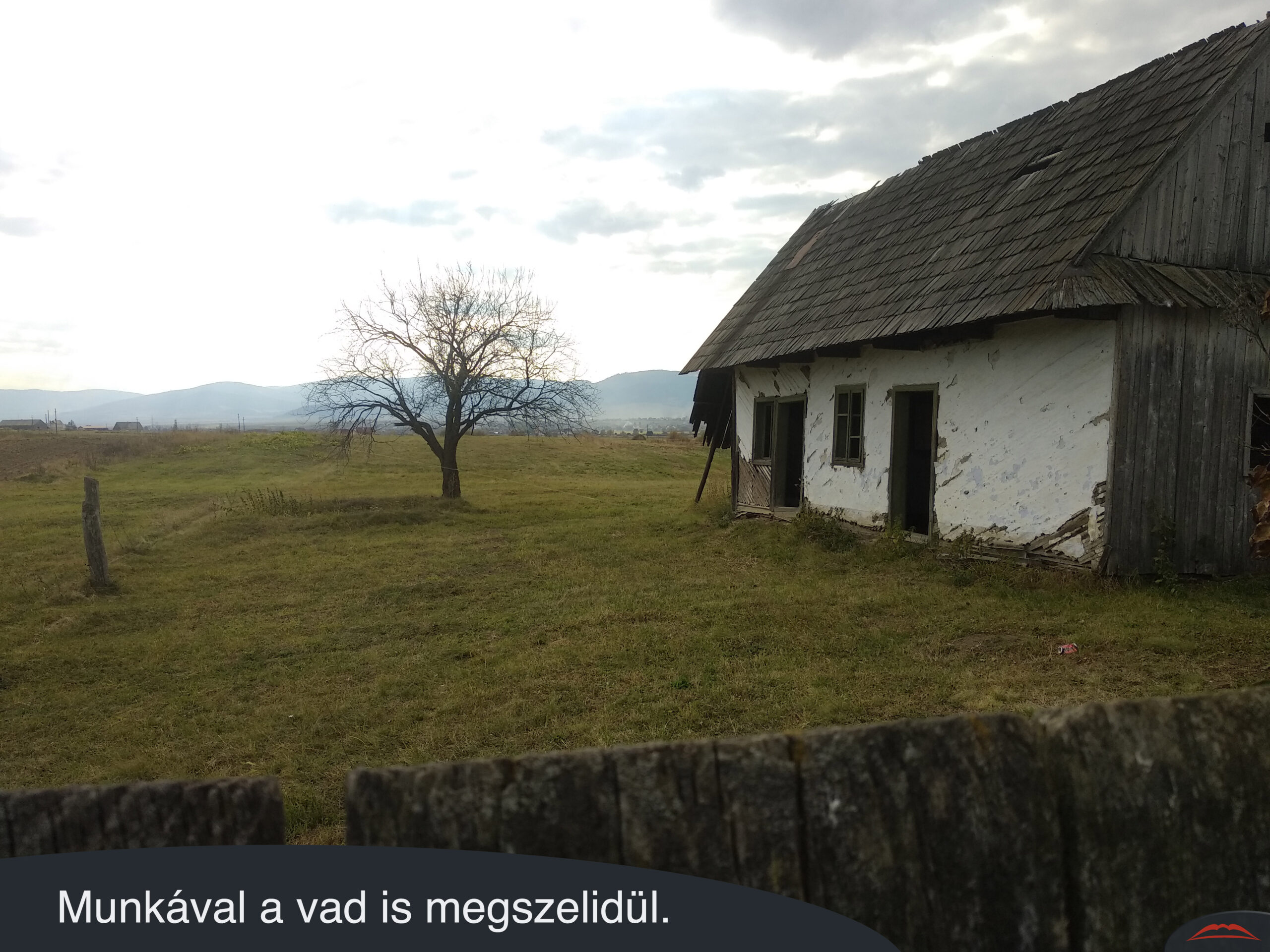 Munkával a vad is megszelidül.