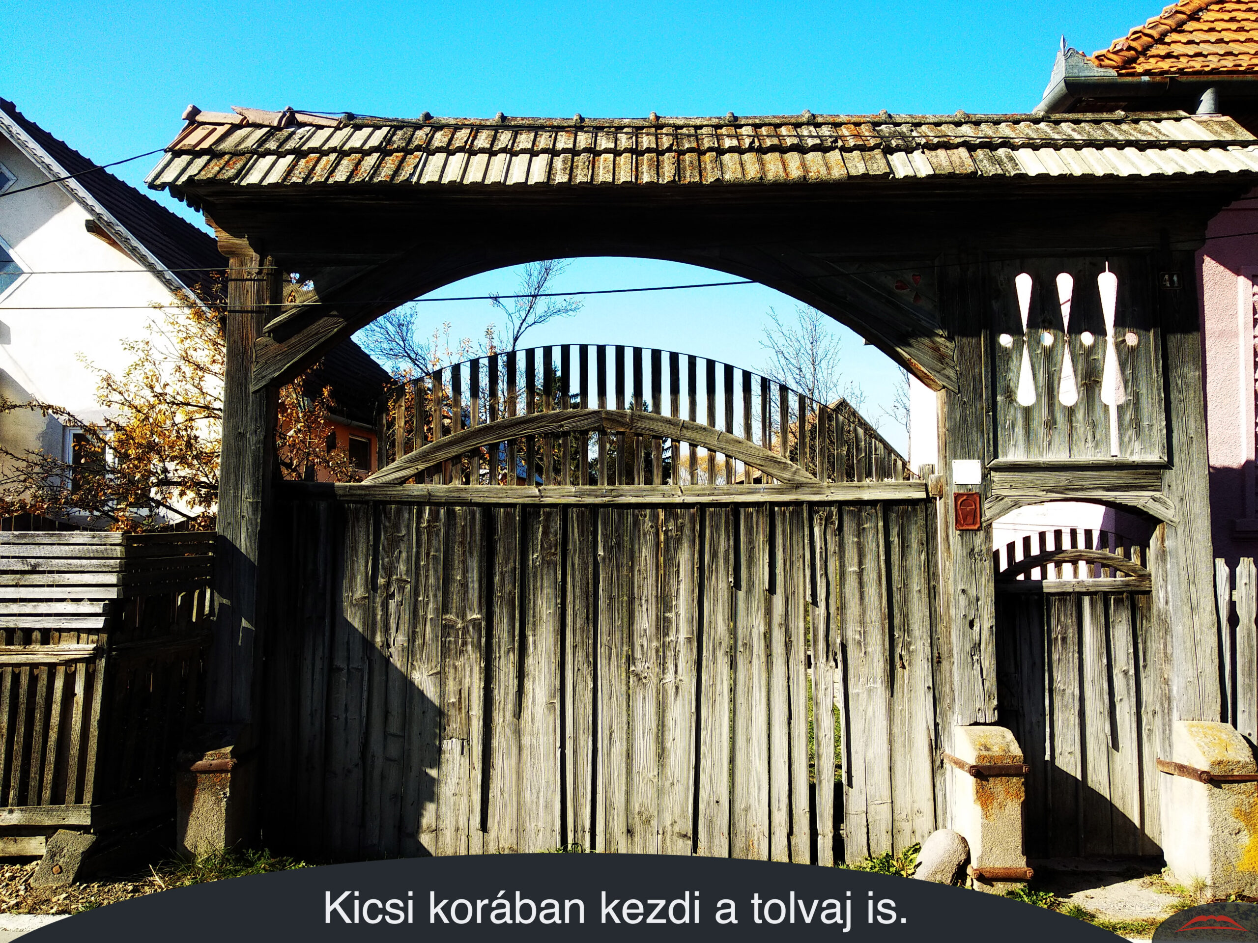 Kicsi korában kezdi a tolvaj is.