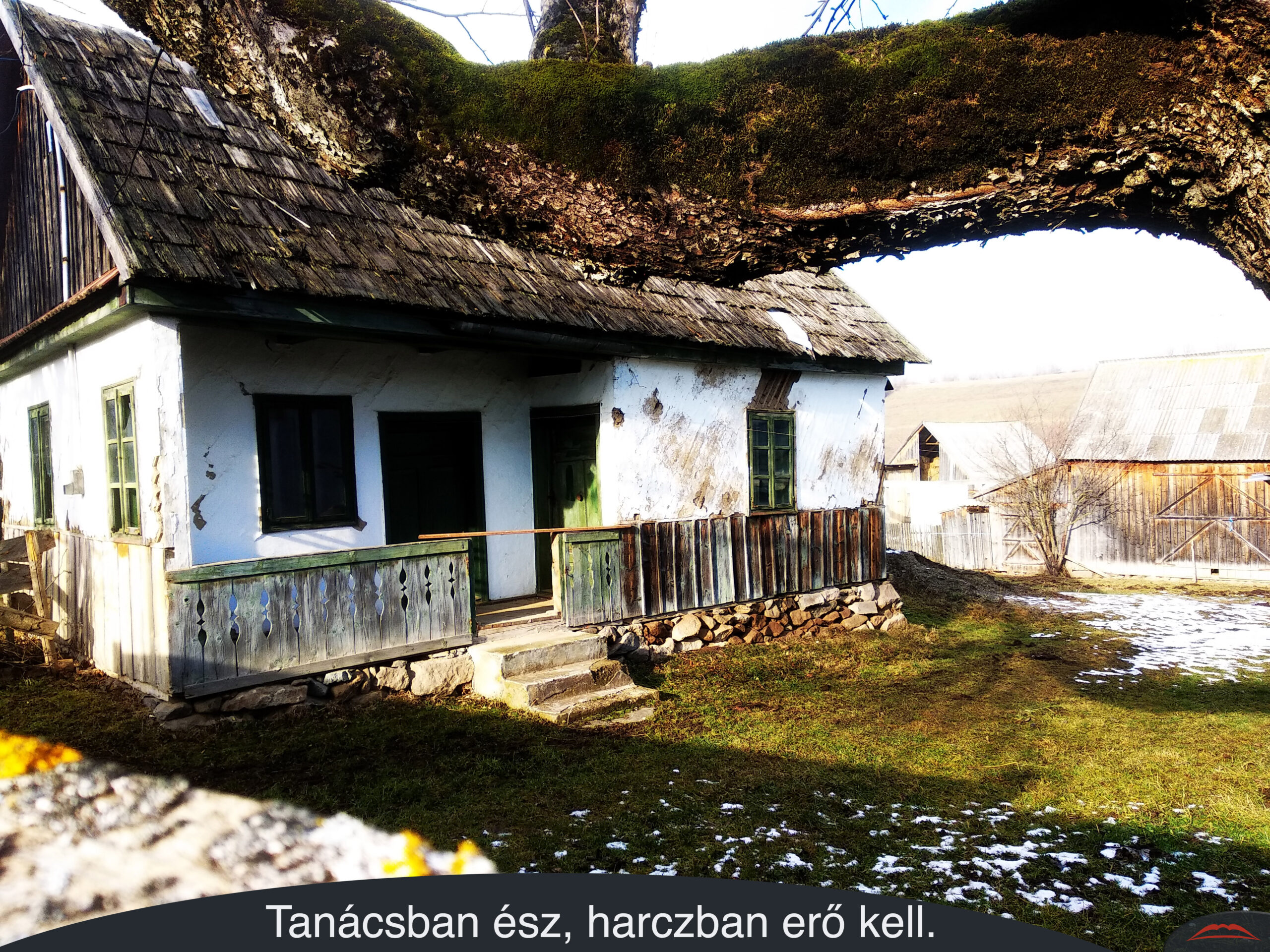 Tanácsban ész, harczban erő kell.