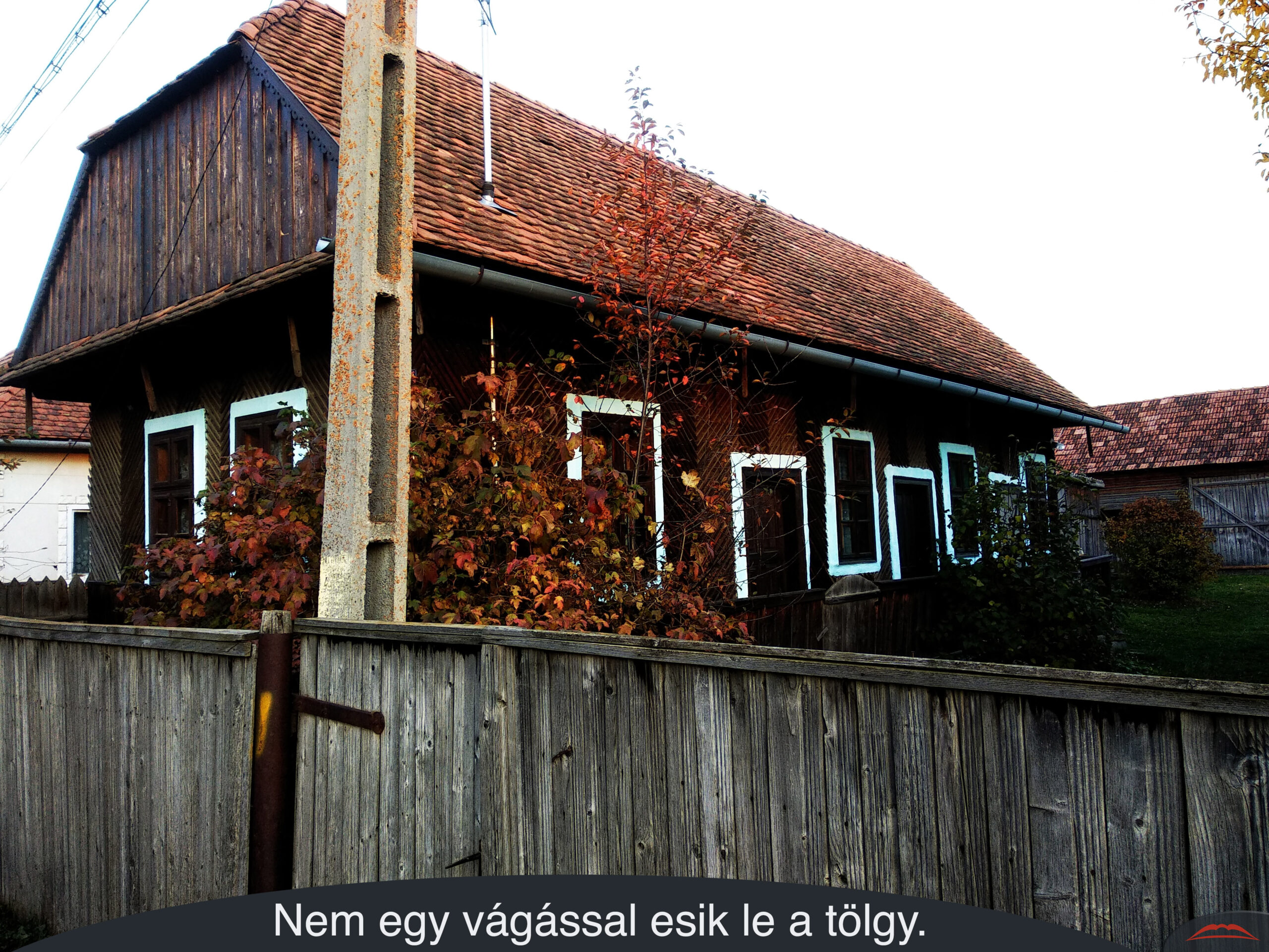 Nem egy vágással esik le a tölgy.