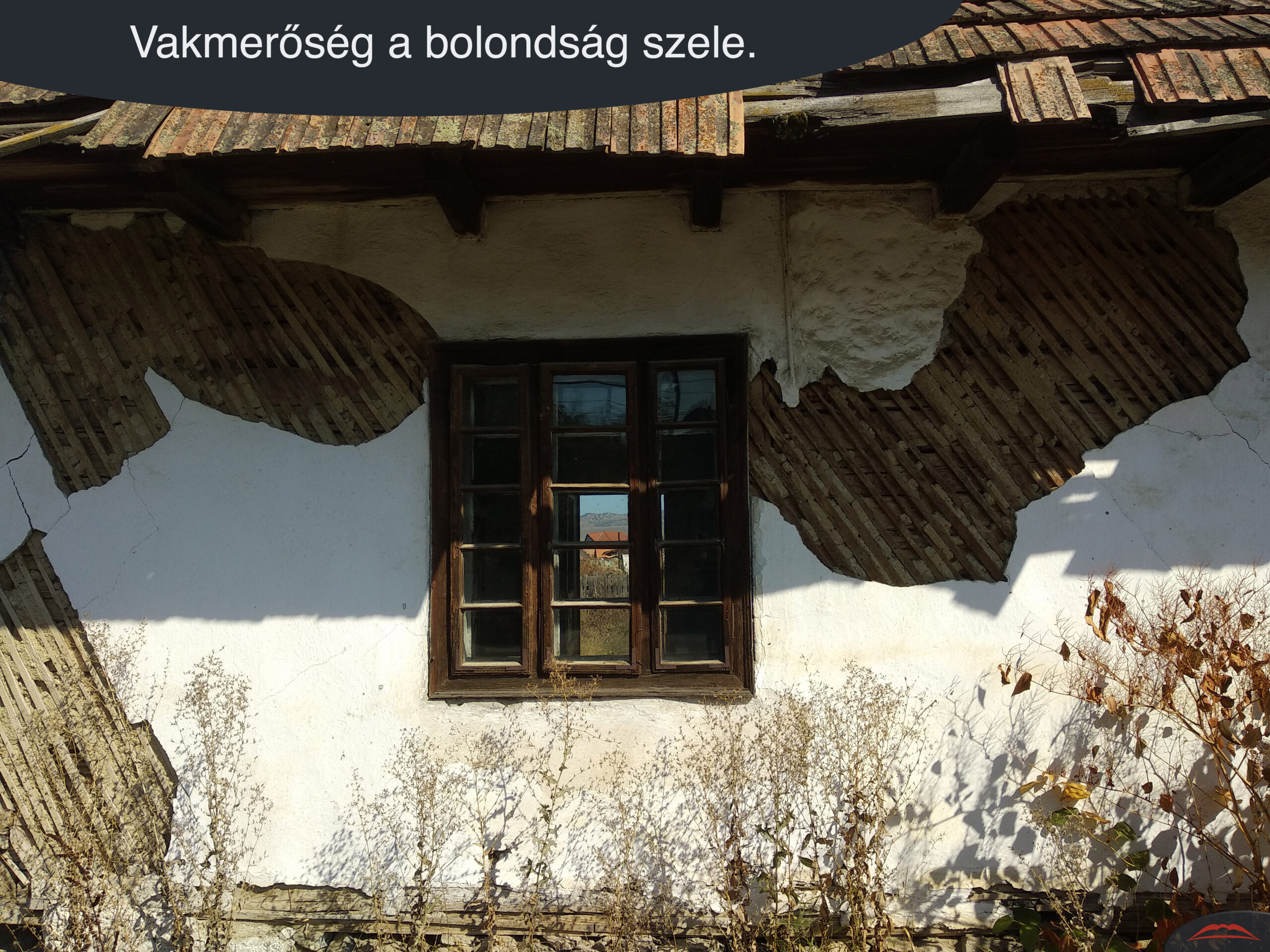 Vakmerőség a bolondság szele.