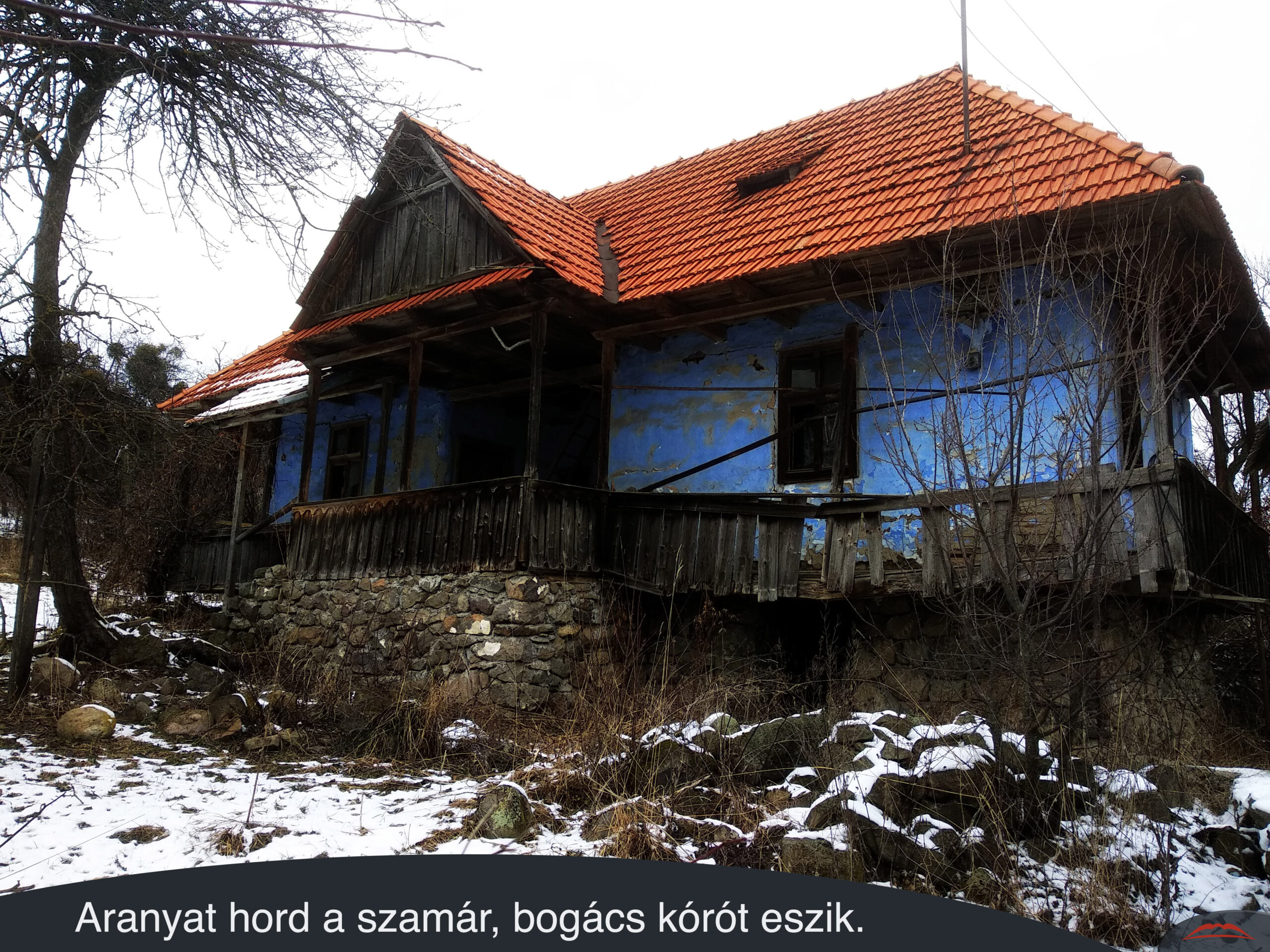 Aranyat hord a szamár, bogács kórót eszik.