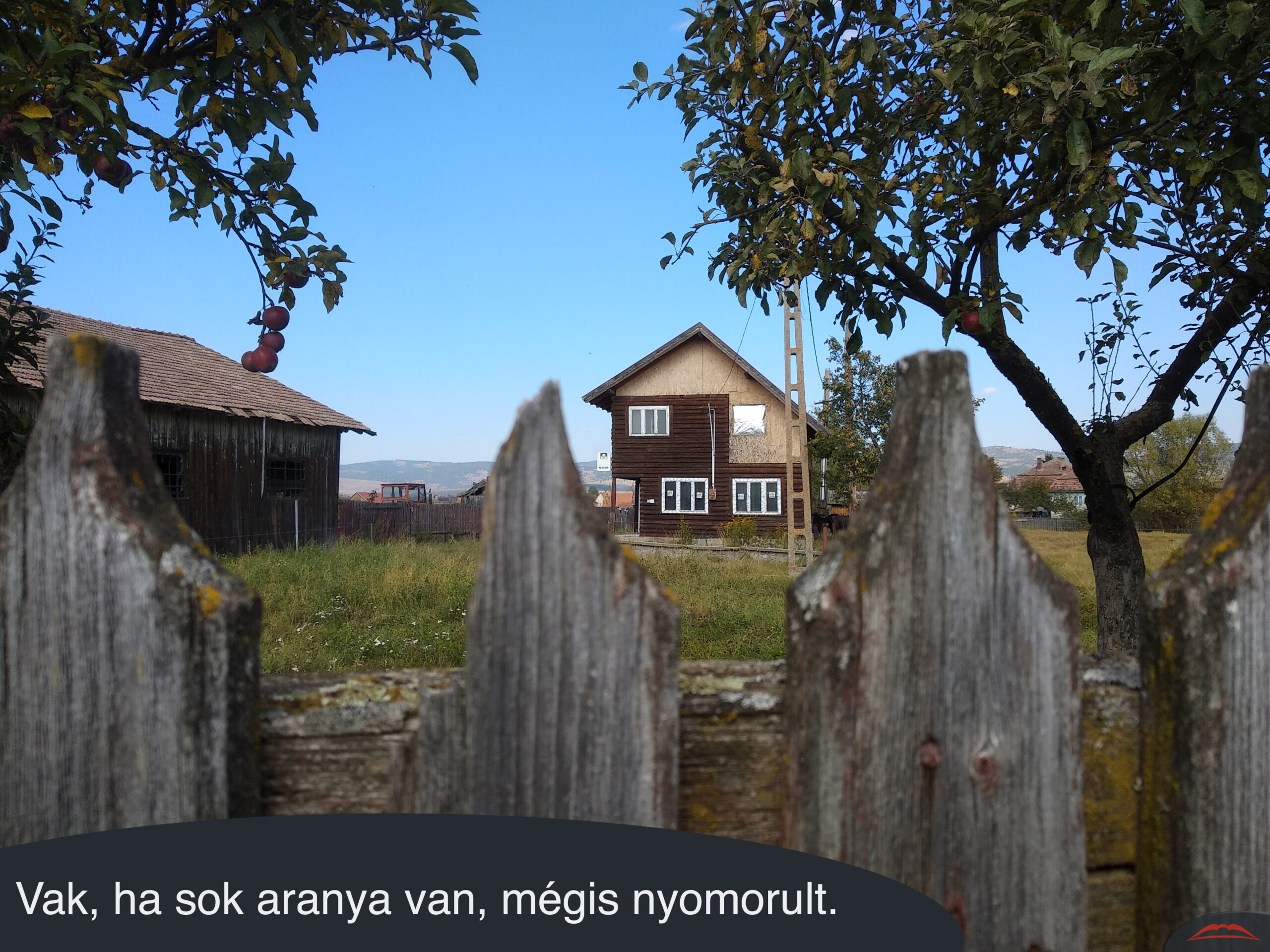 Vak, ha sok aranya van, mégis nyomorult.