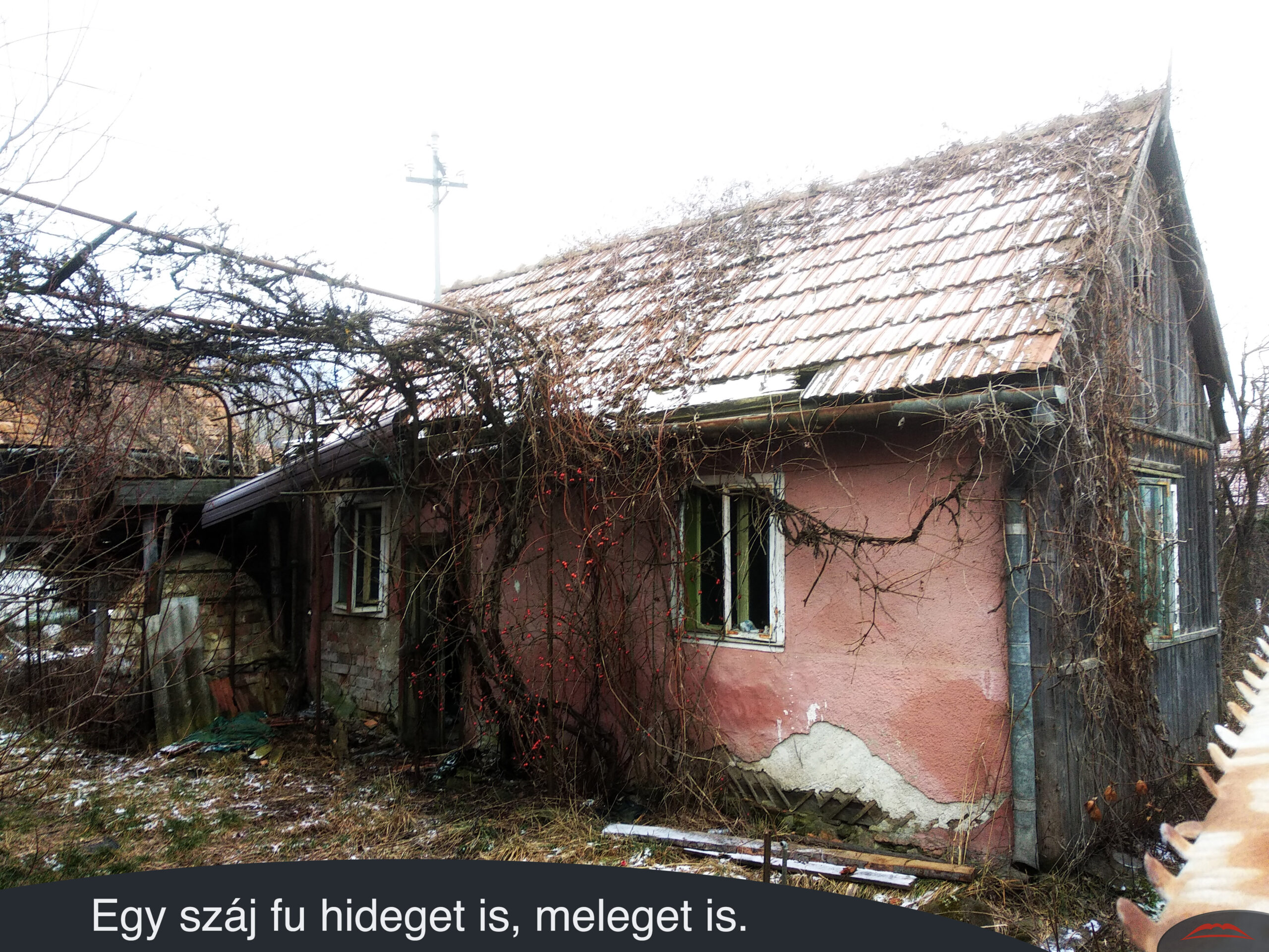 Egy száj fu hideget is, meleget is.