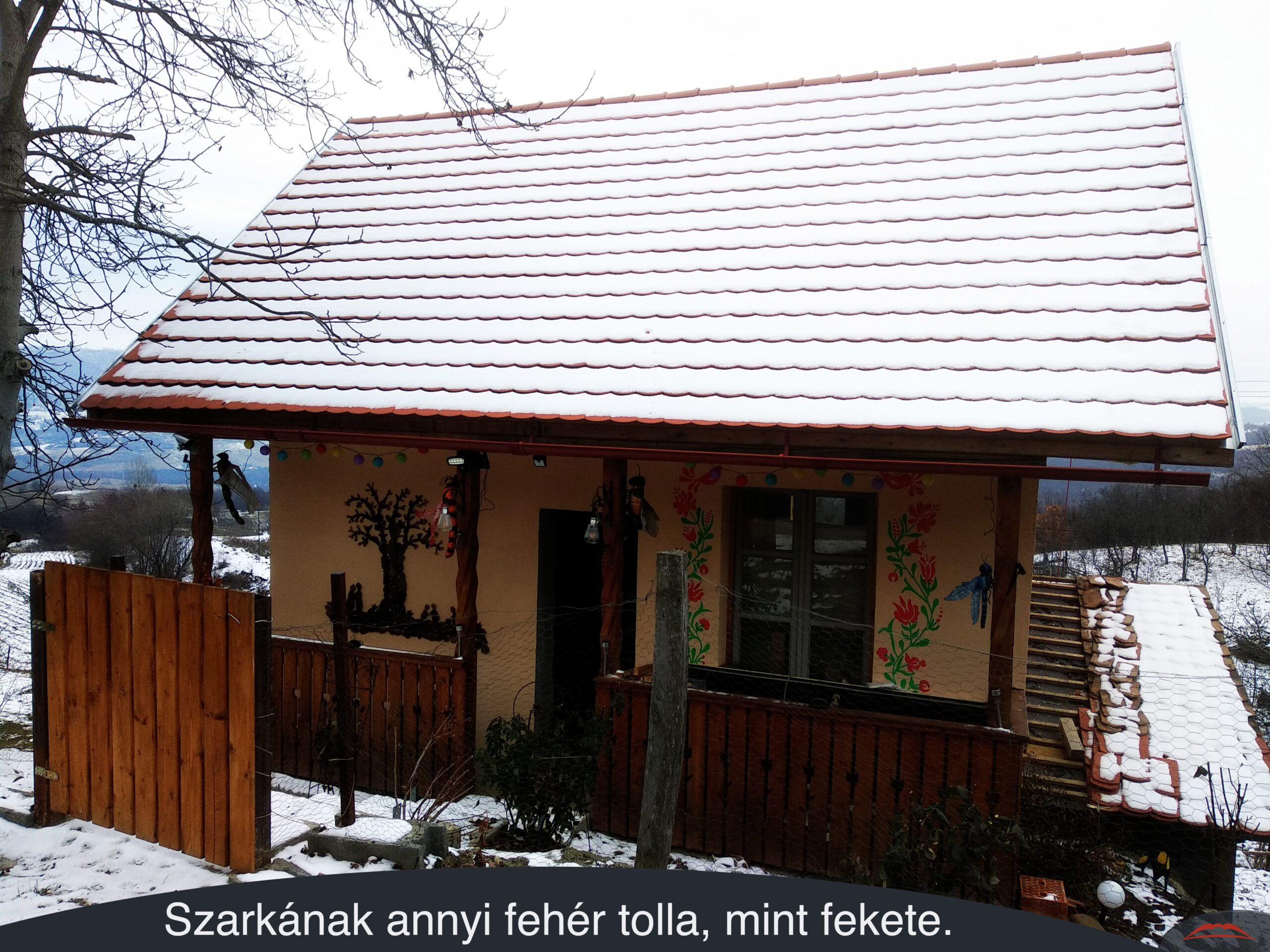 Szarkának annyi fehér tolla, mint fekete.