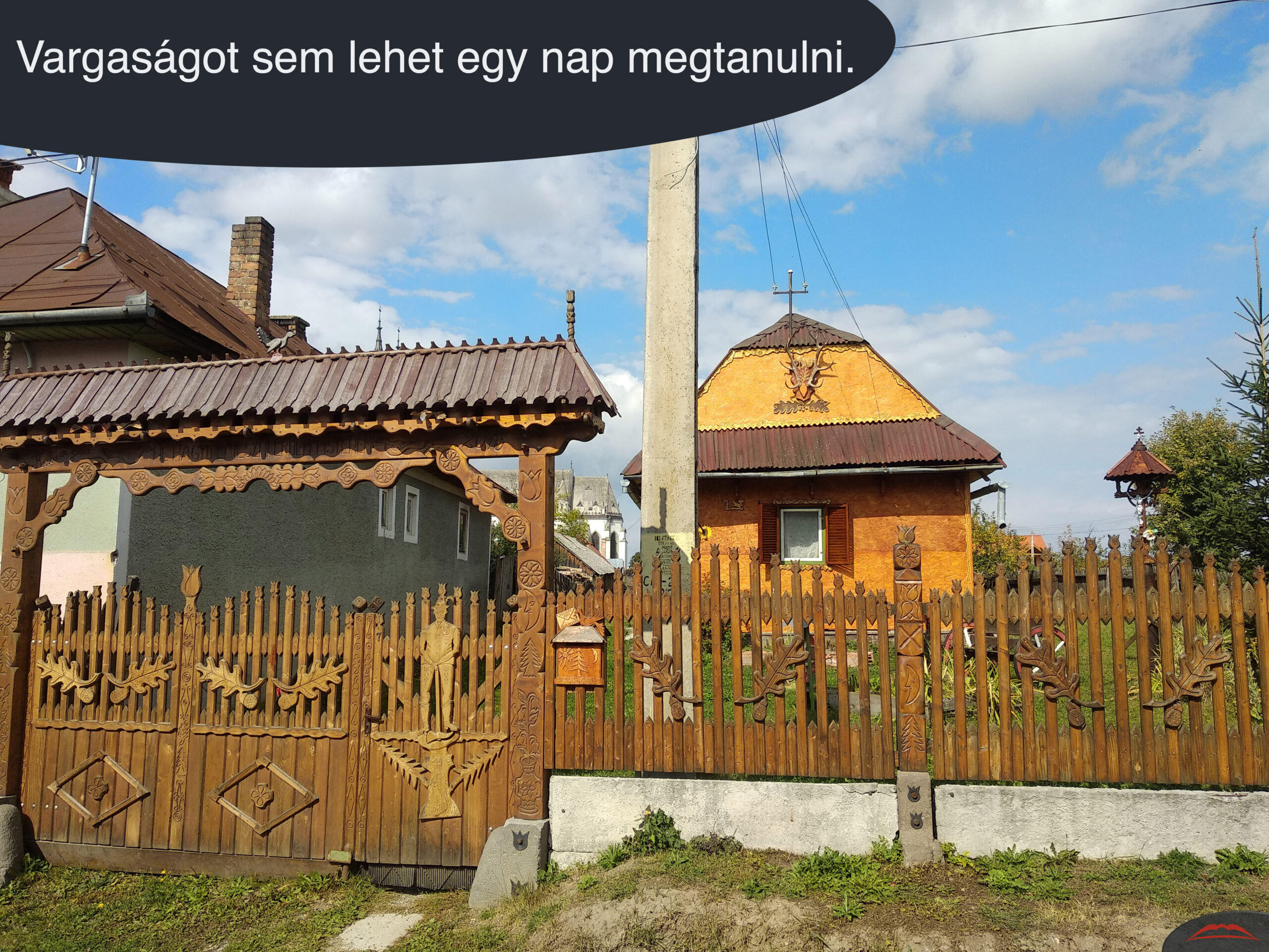 Vargaságot sem lehet egy nap megtanulni.