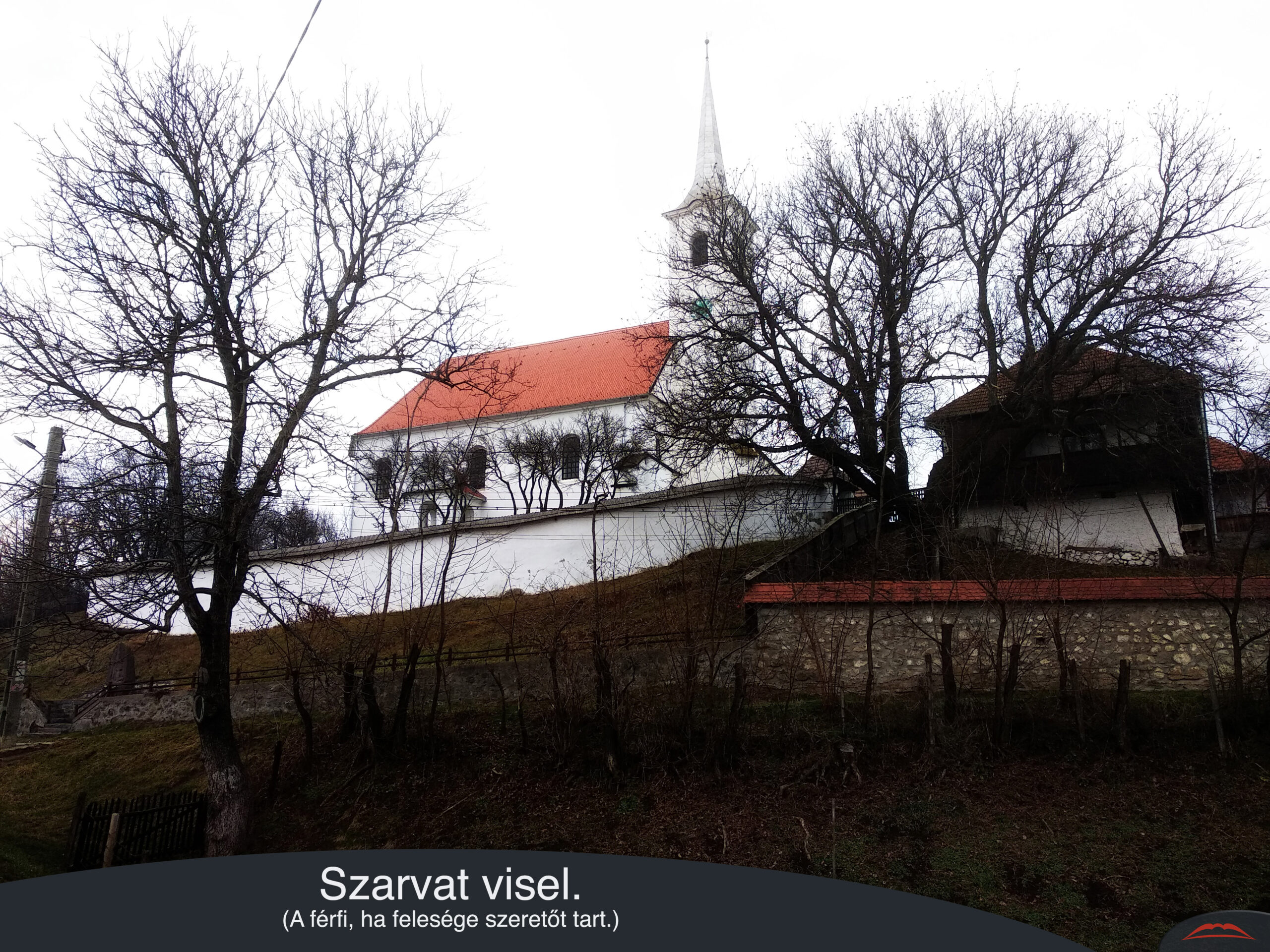 Szarvat visel.