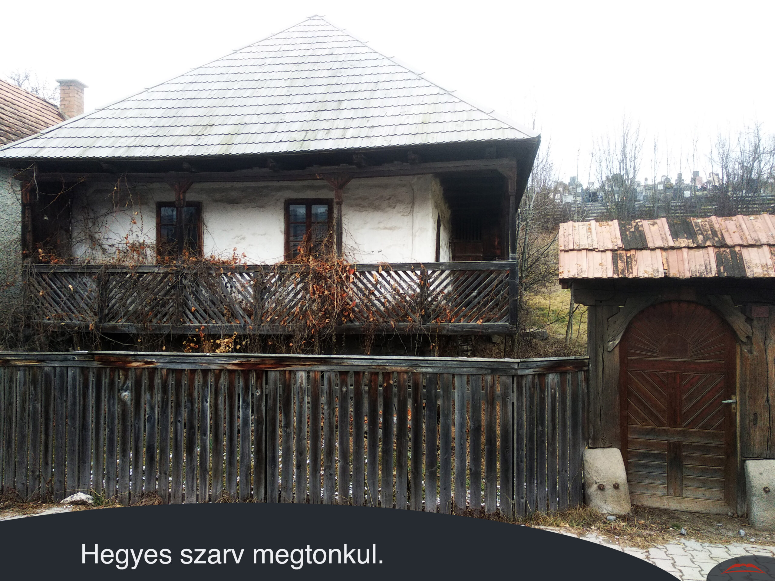 Hegyes szarv megtonkul.