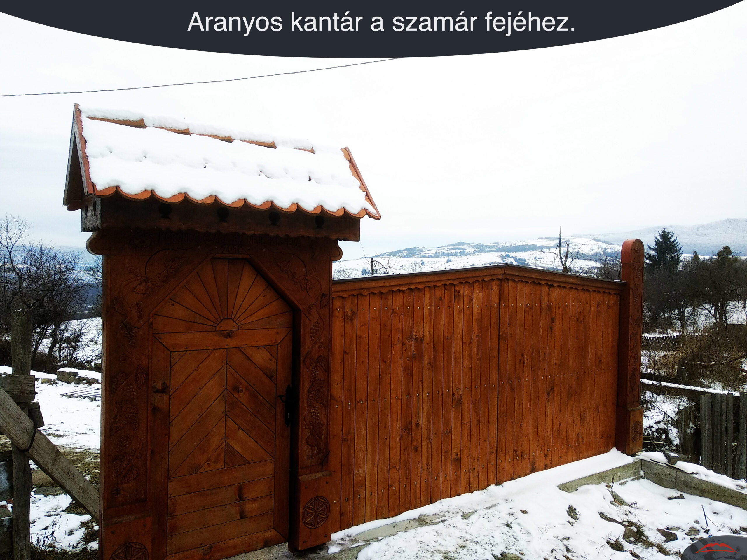 Aranyos kantár a szamár fejéhez.
