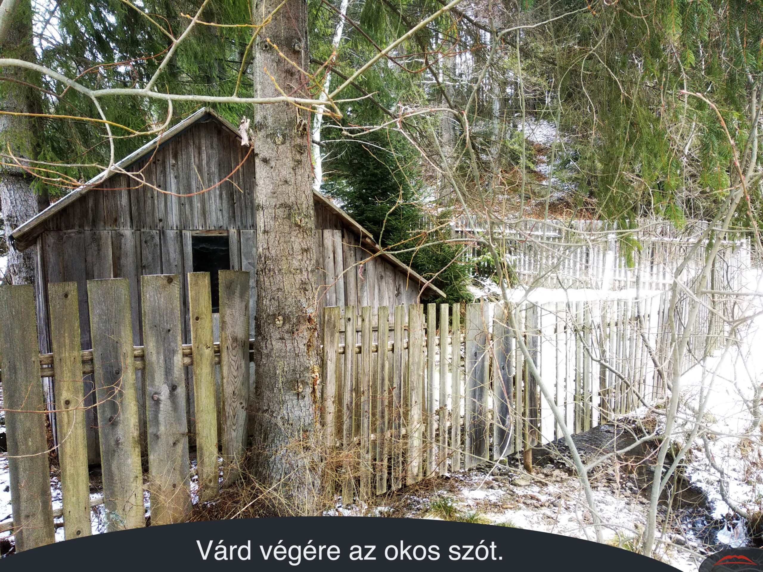 Várd végére az okos szót.