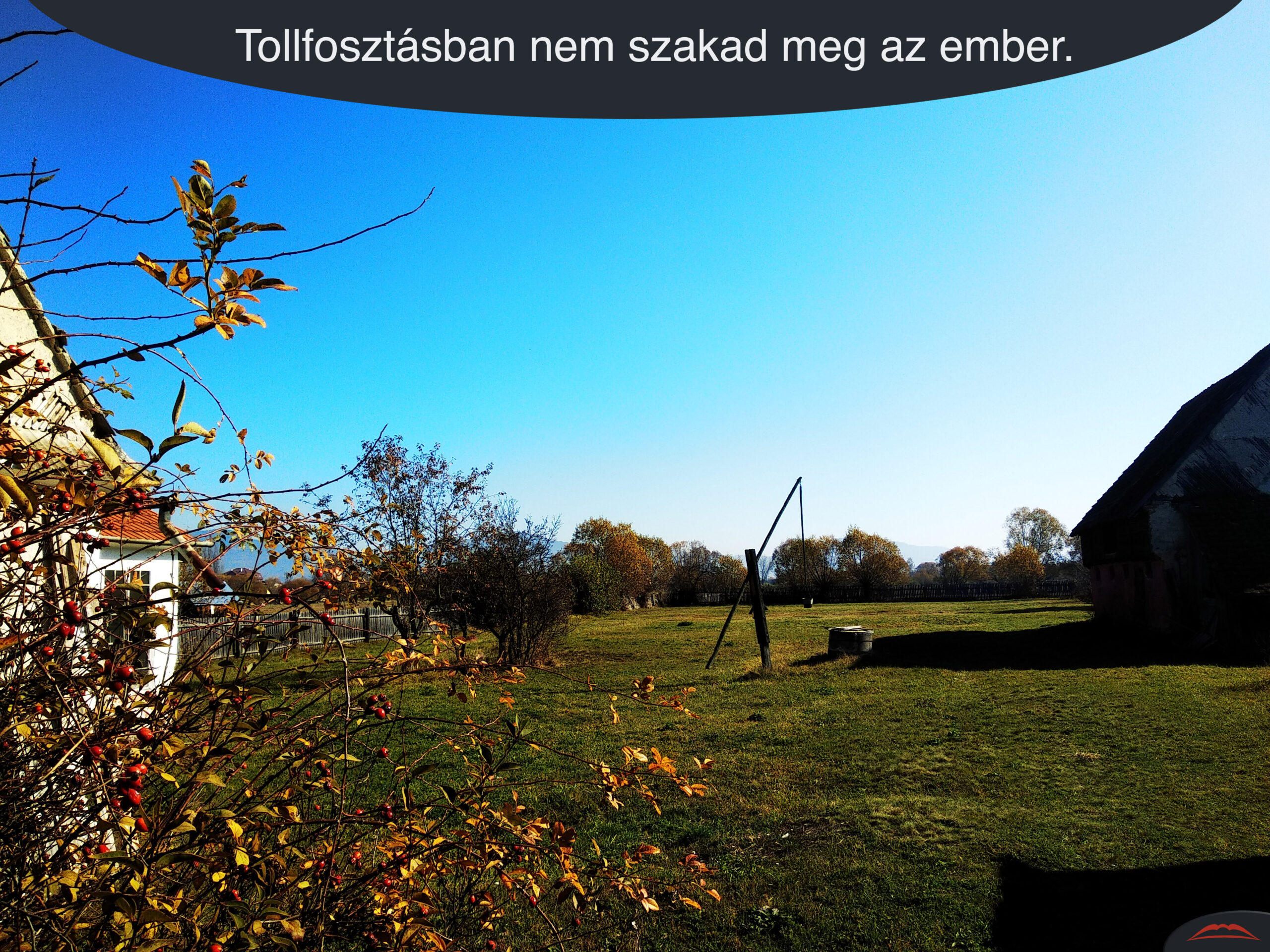 Tollfosztásban nem szakad meg az ember.