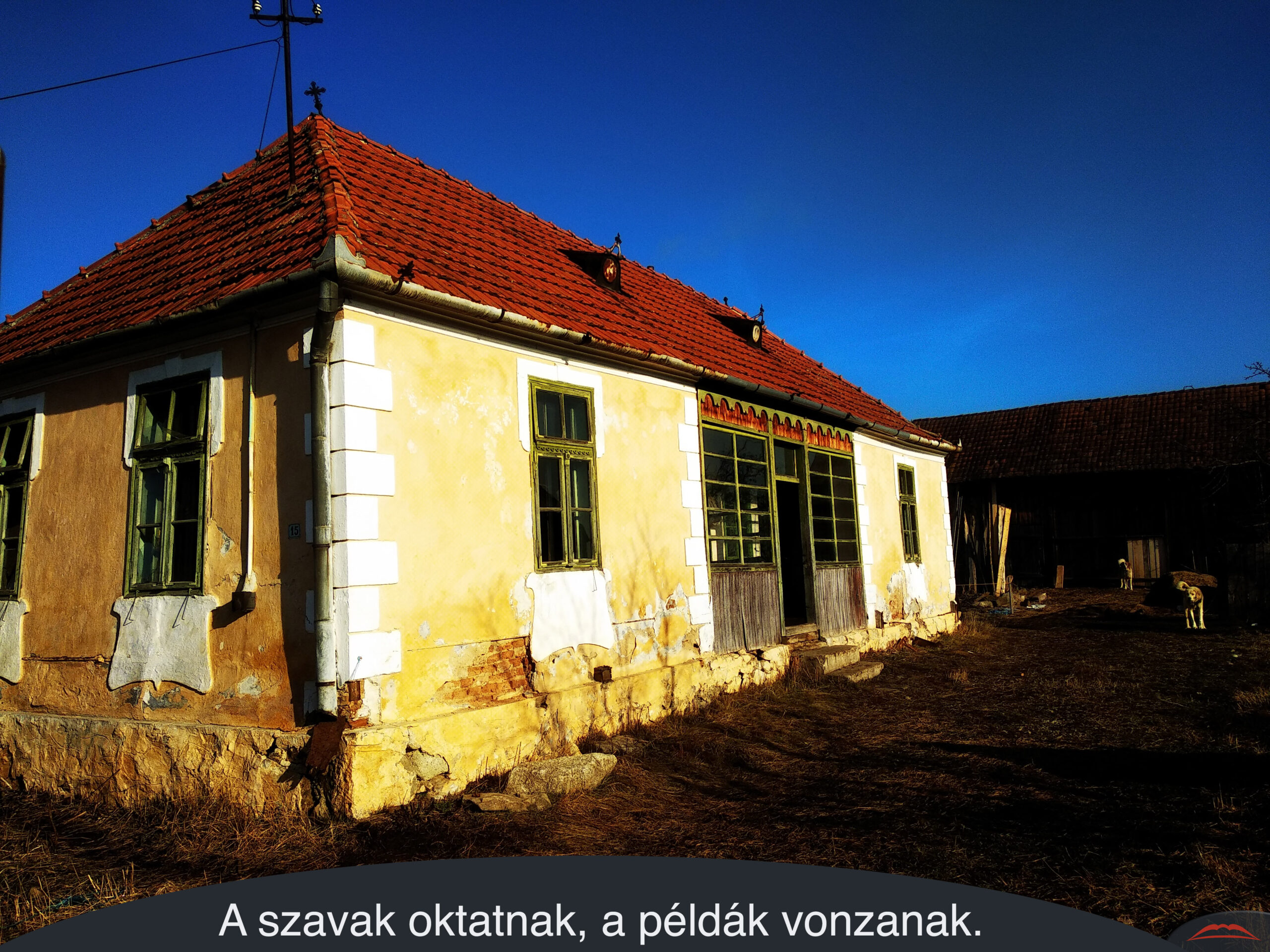 A szavak oktatnak, a példák vonzanak.