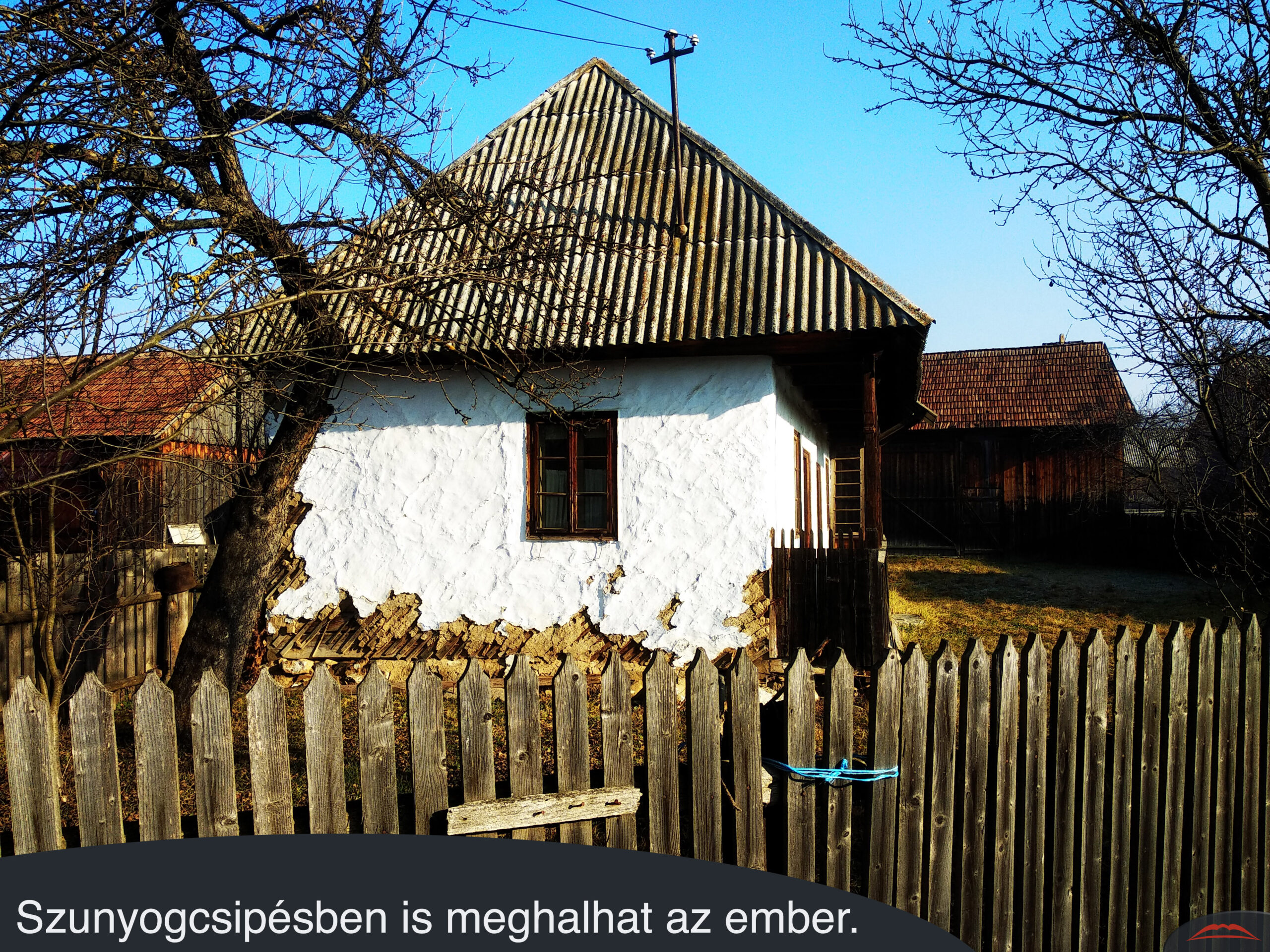 Szunyogcsipésben is meghalhat az ember.