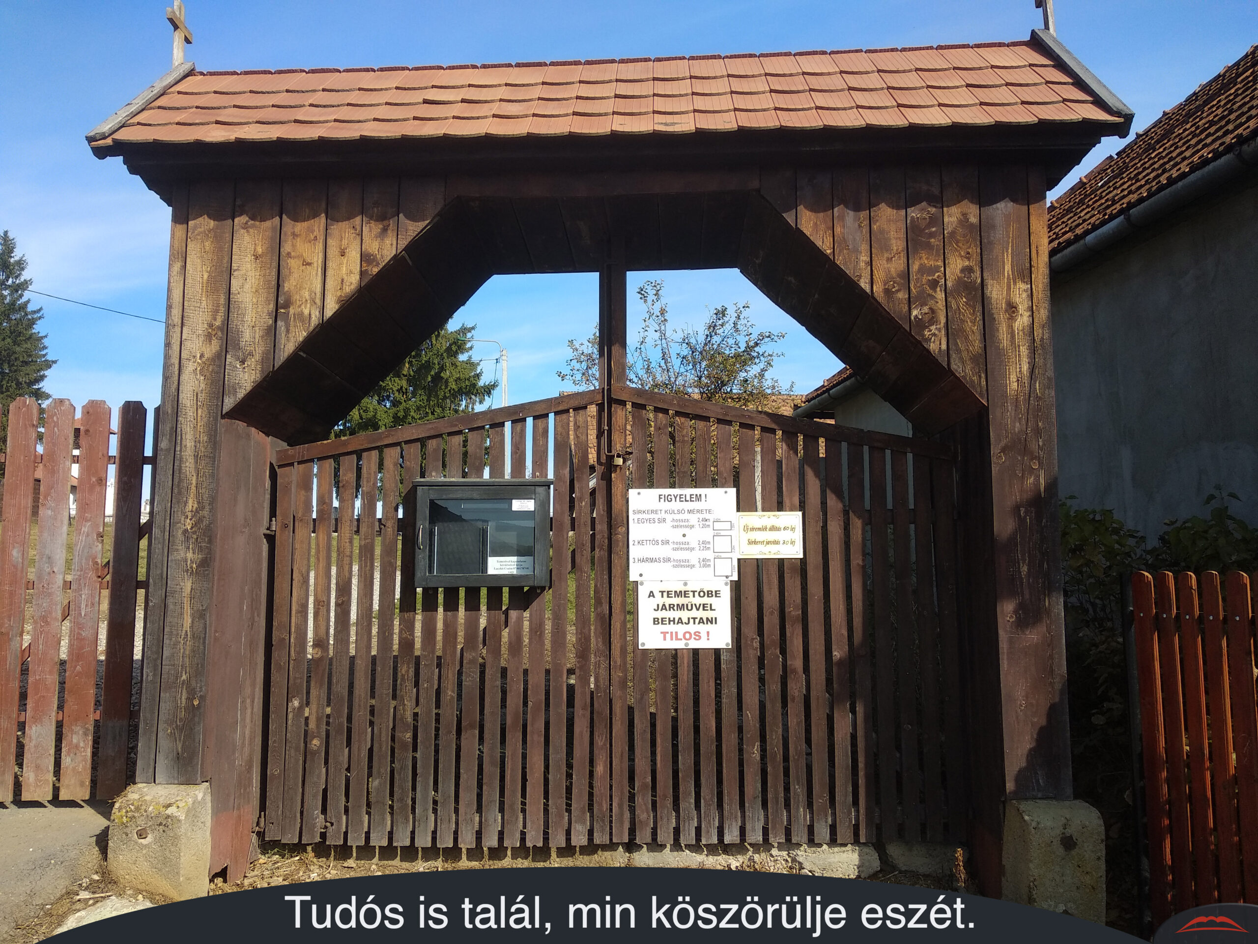 Tudós is talál, min köszörülje eszét.