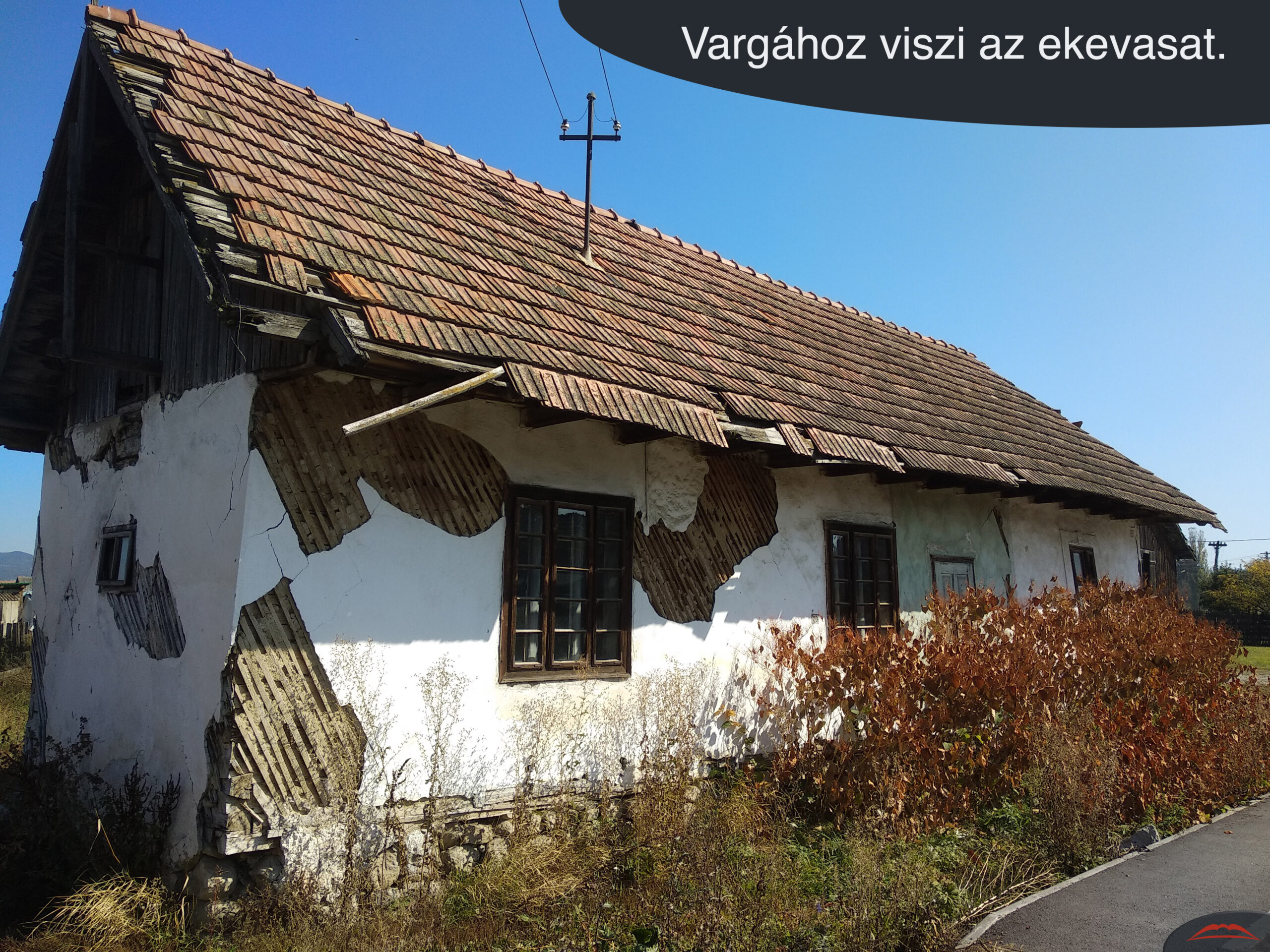 Varga vargának ha barátja csuda.