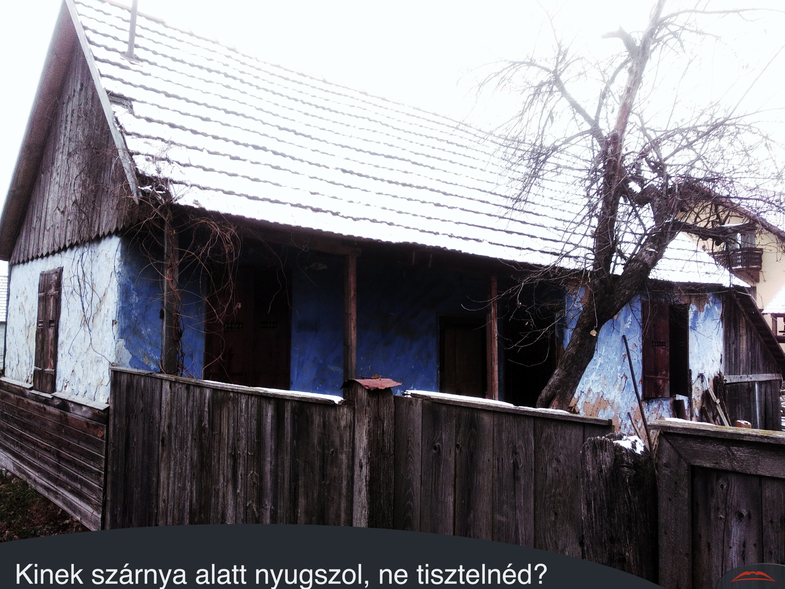 Kinek szárnya alatt nyugszol ne tisztelnéd