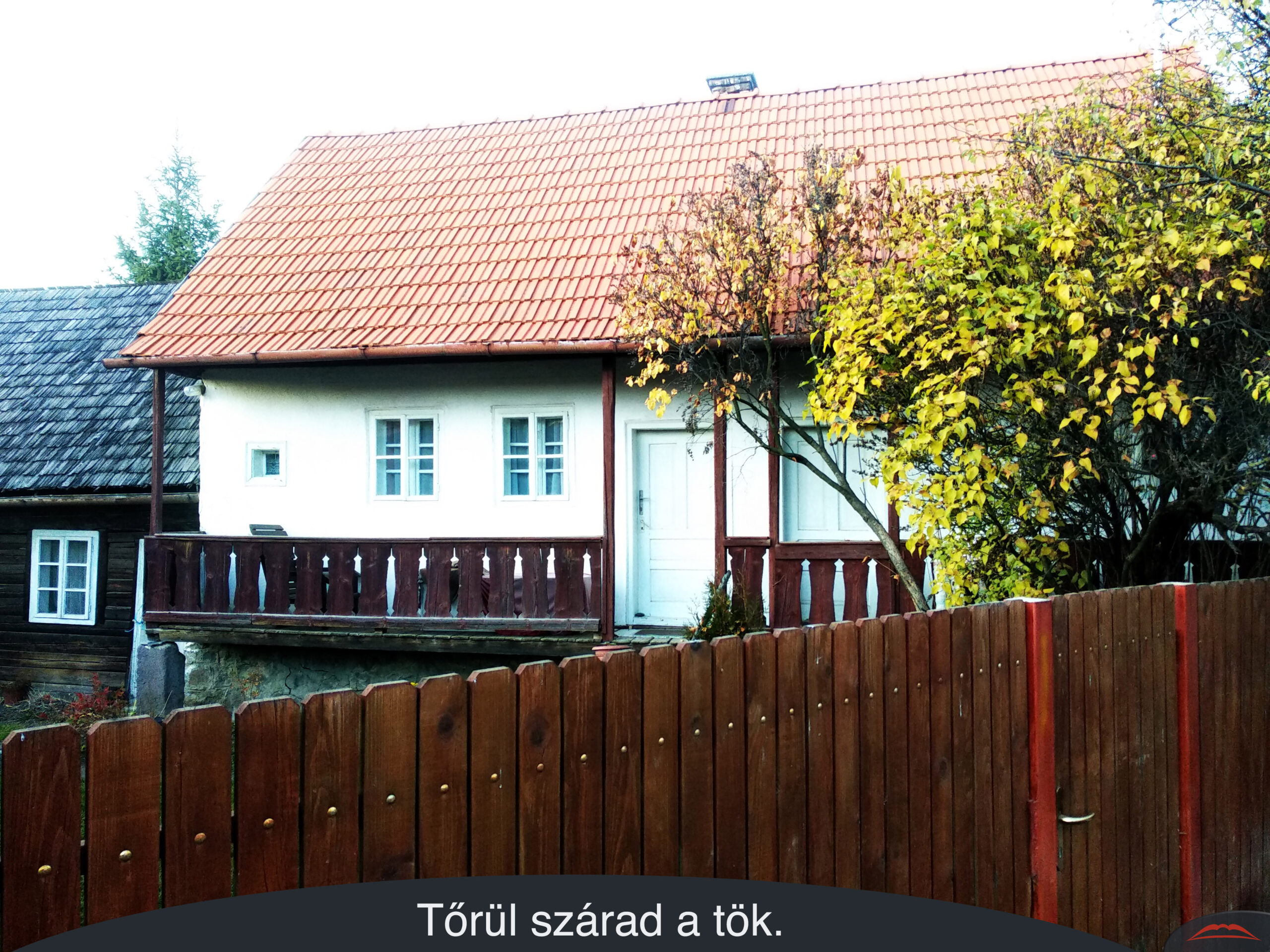 Tőrül szárad a tök.