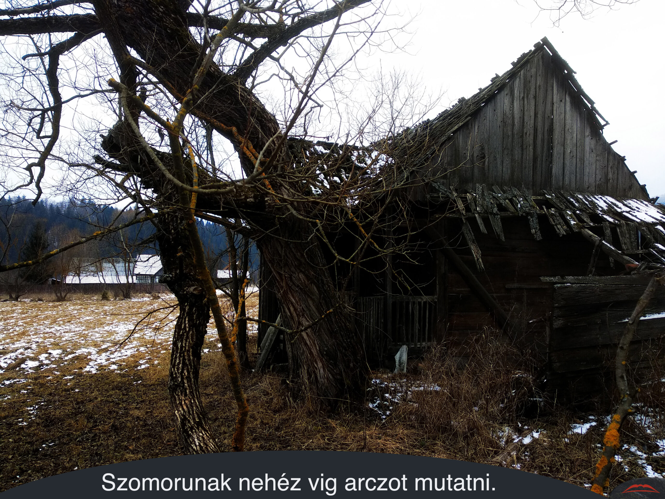 Szomorunak nehéz vig arczot mutatni.