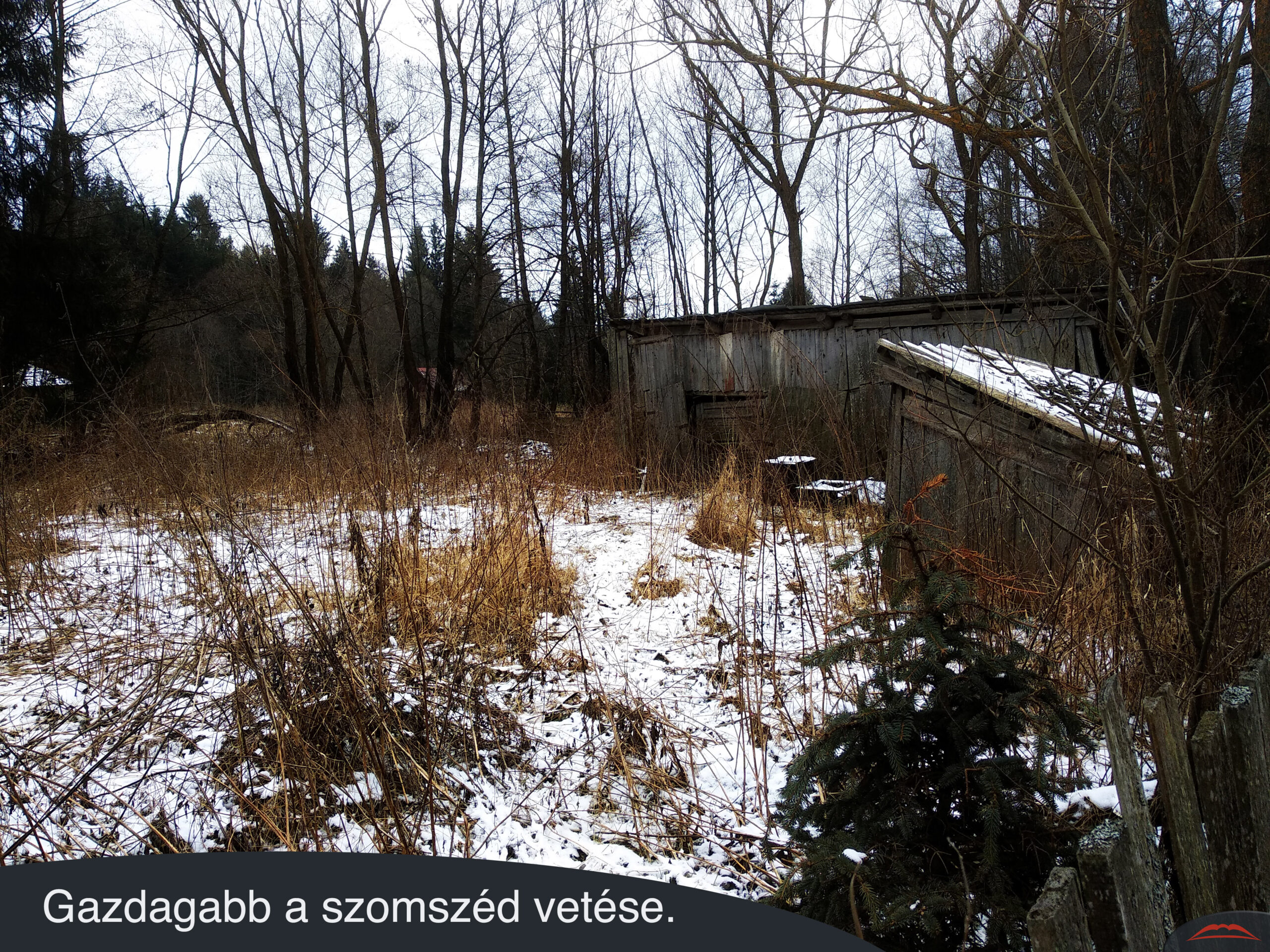 Gazdagabb a szomszéd vetése.