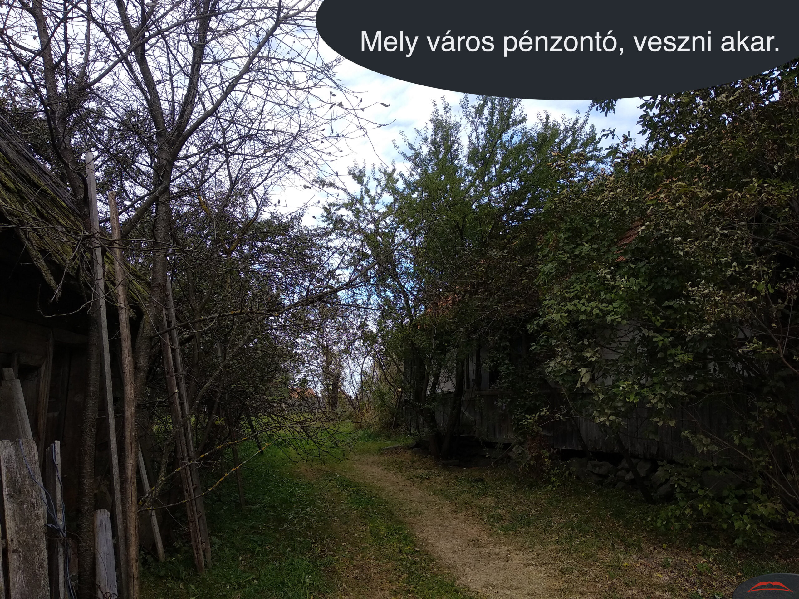 Mely város pénzontó, veszni akar.