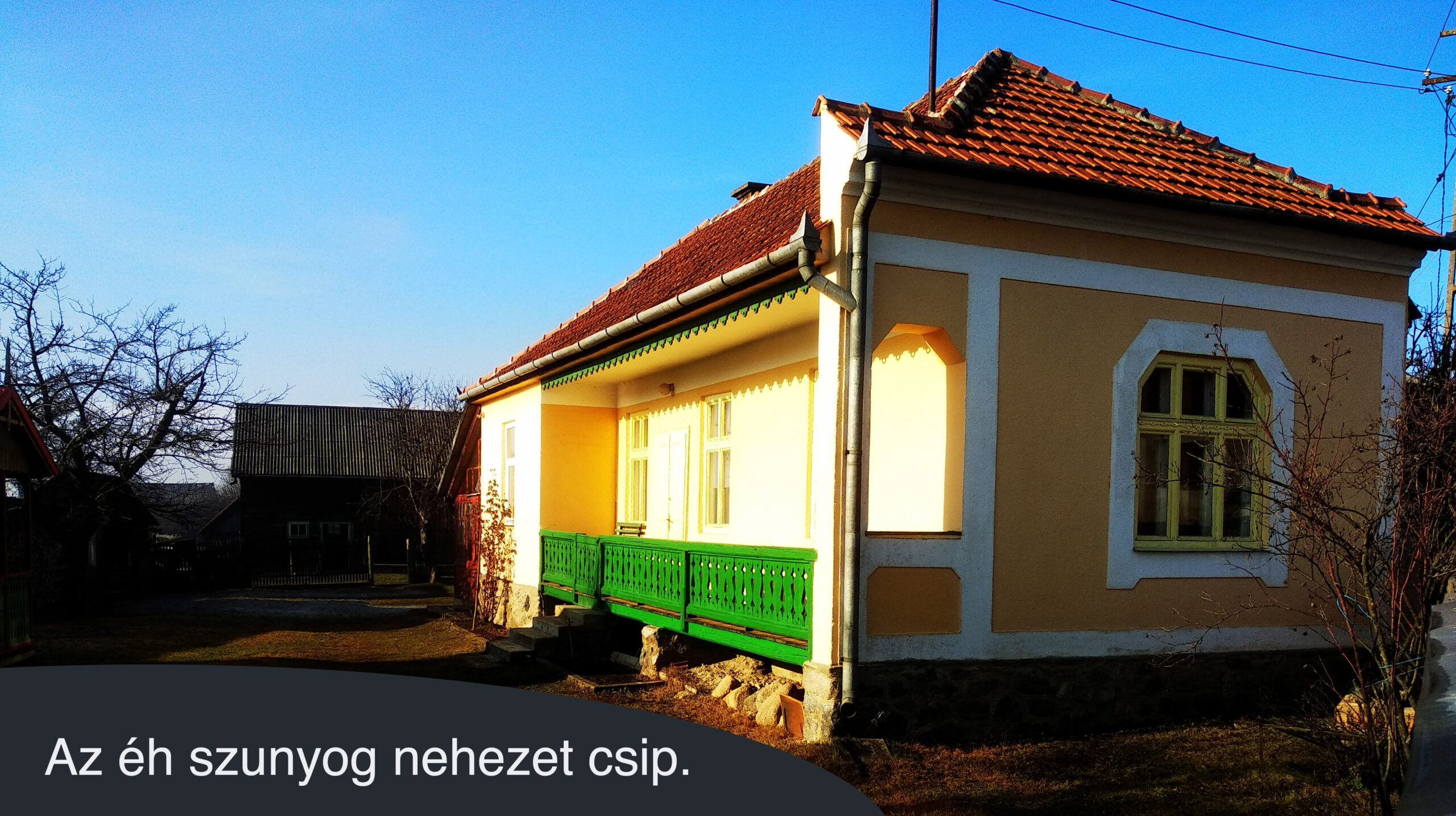 Az éh szunyog nehezet csip.