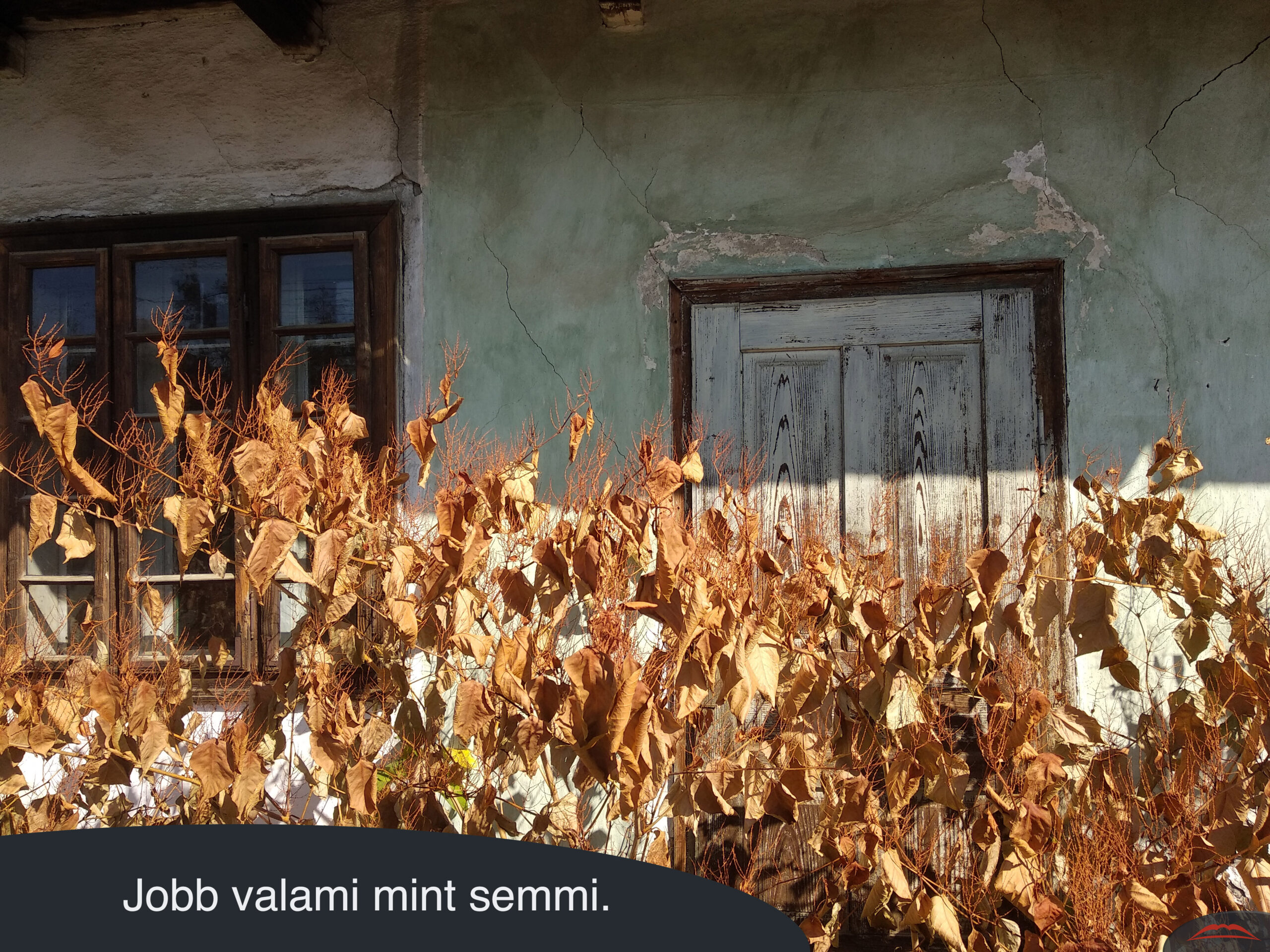 Jobb valami mint semmi.