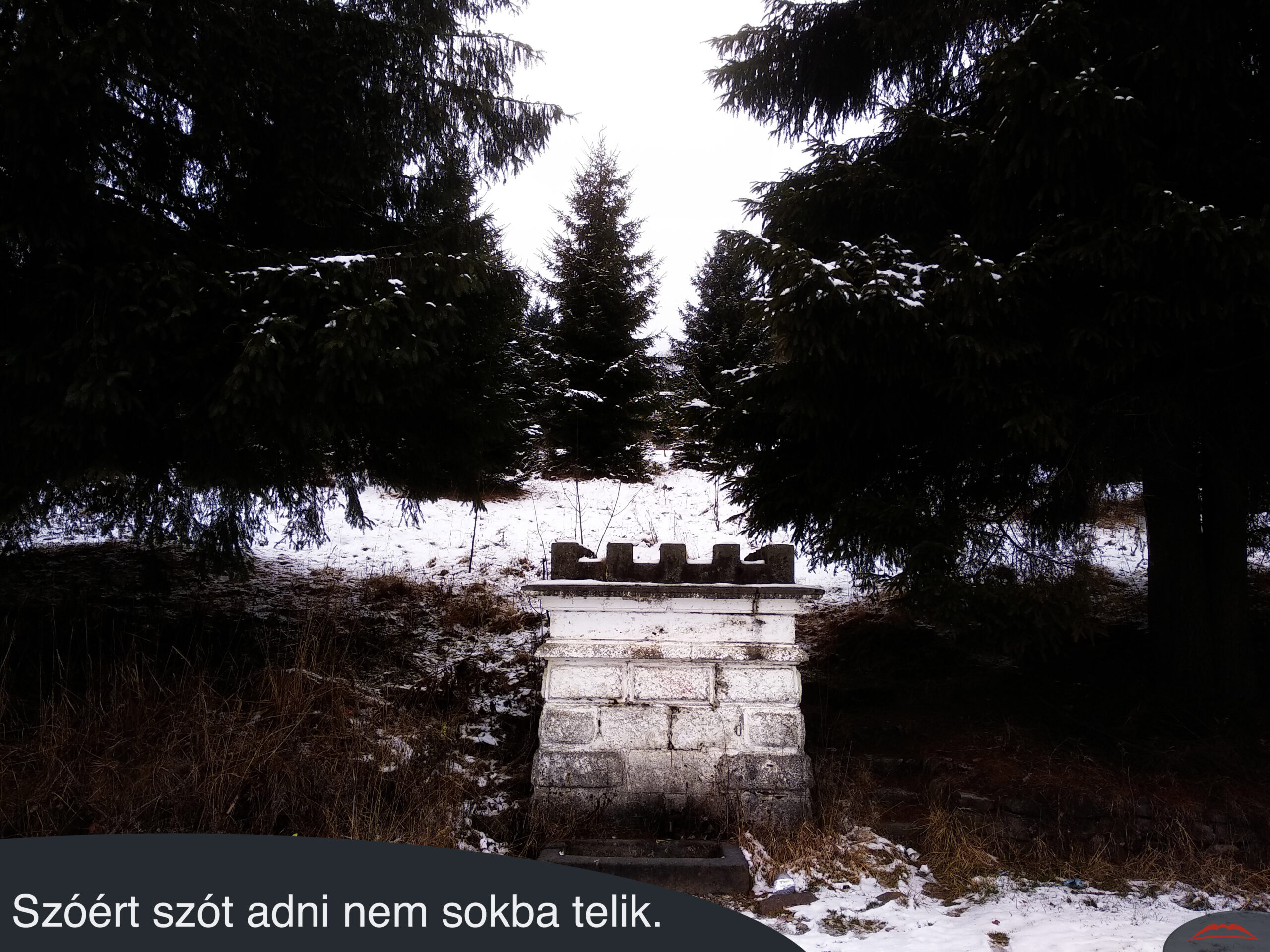 Szóért szót adni nem sokba telik.