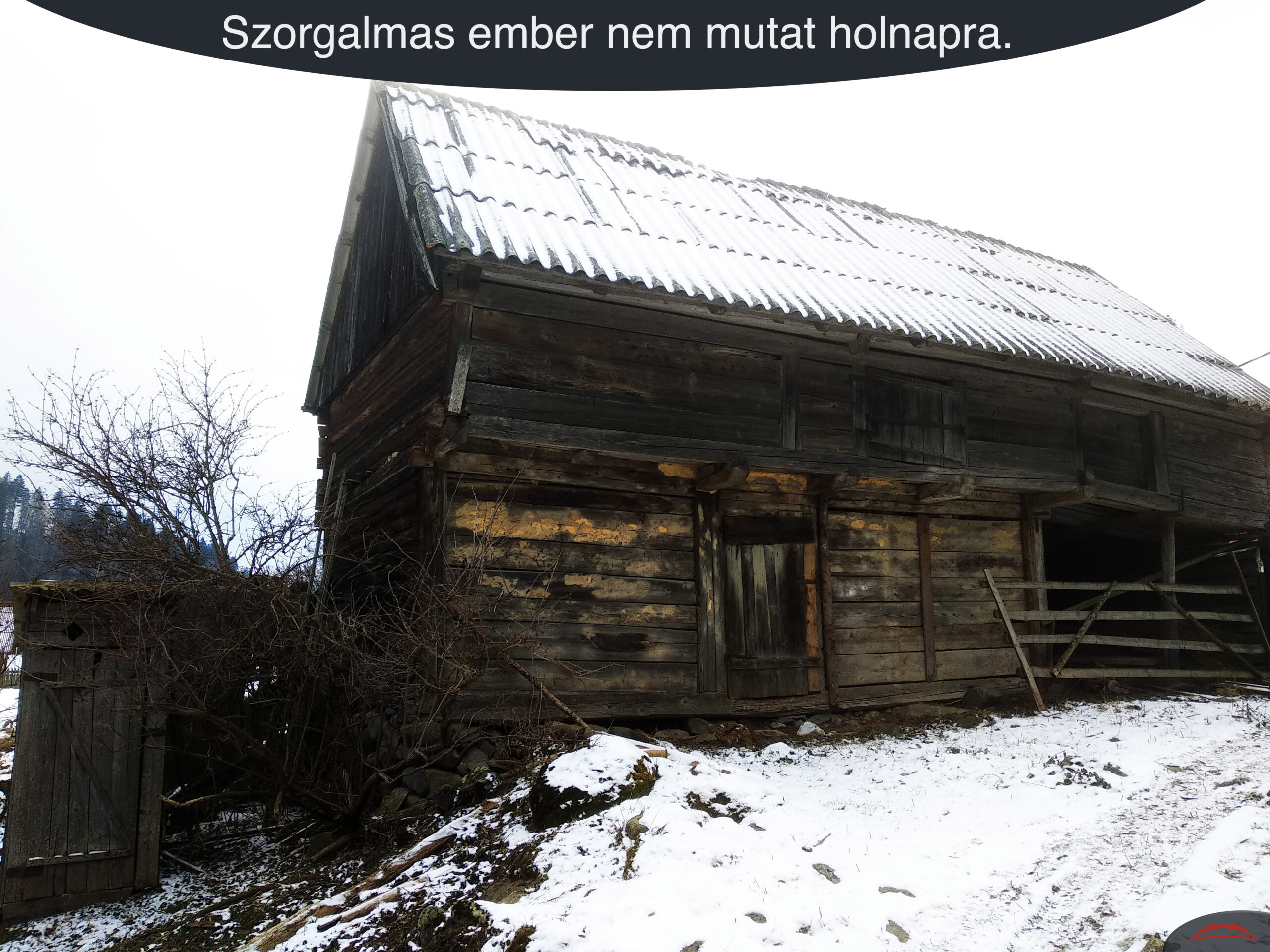 Szorgalmas ember nem mutat holnapra.
