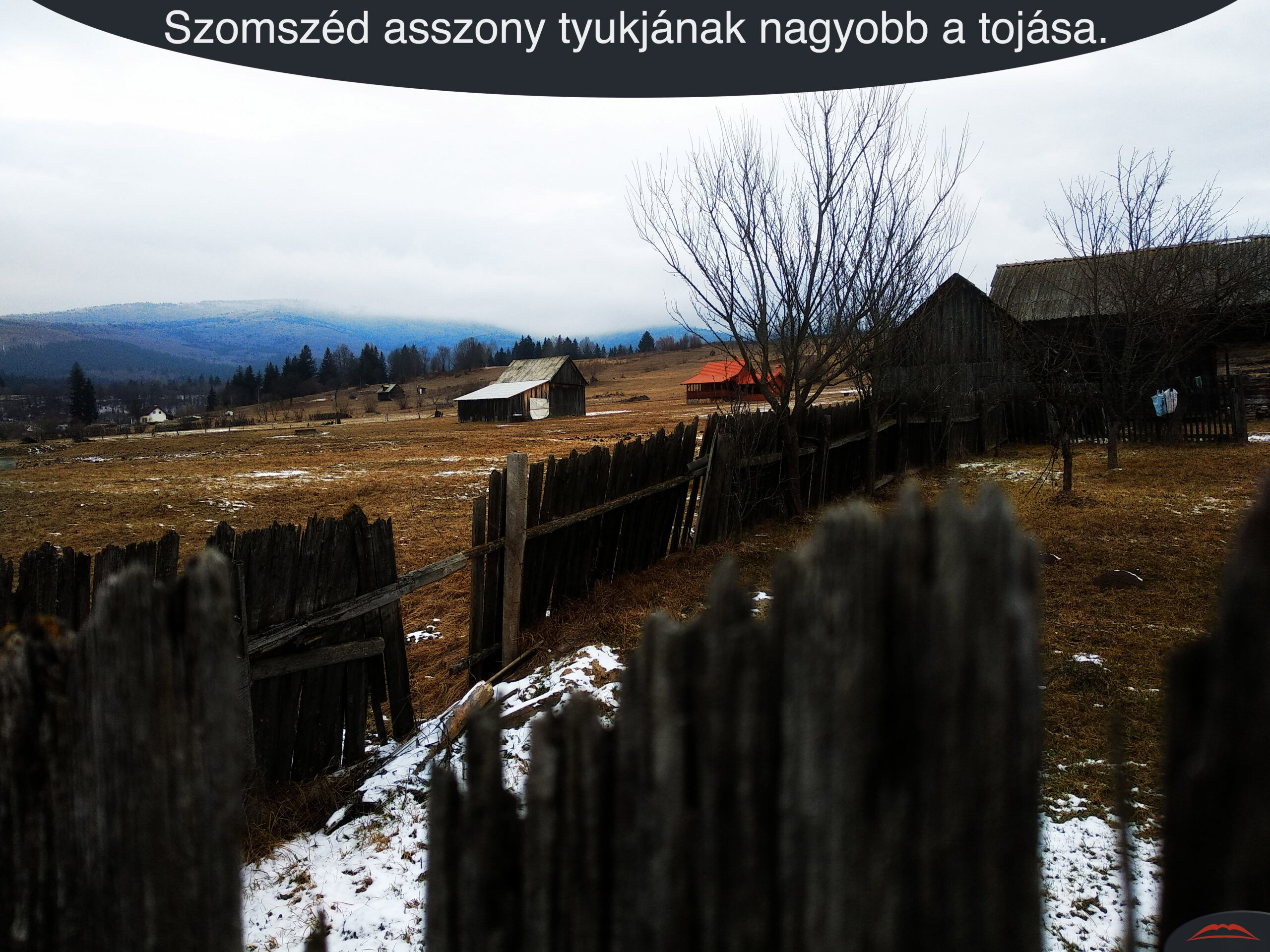 Szomszéd asszony tyukjának nagyobb a tojása.